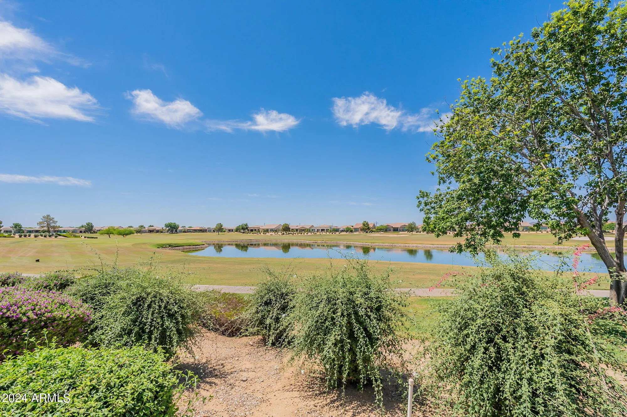 Property Slideshow image 8 of 43 | 593 e peach tree st, Queen Creek, AZ, 85140
