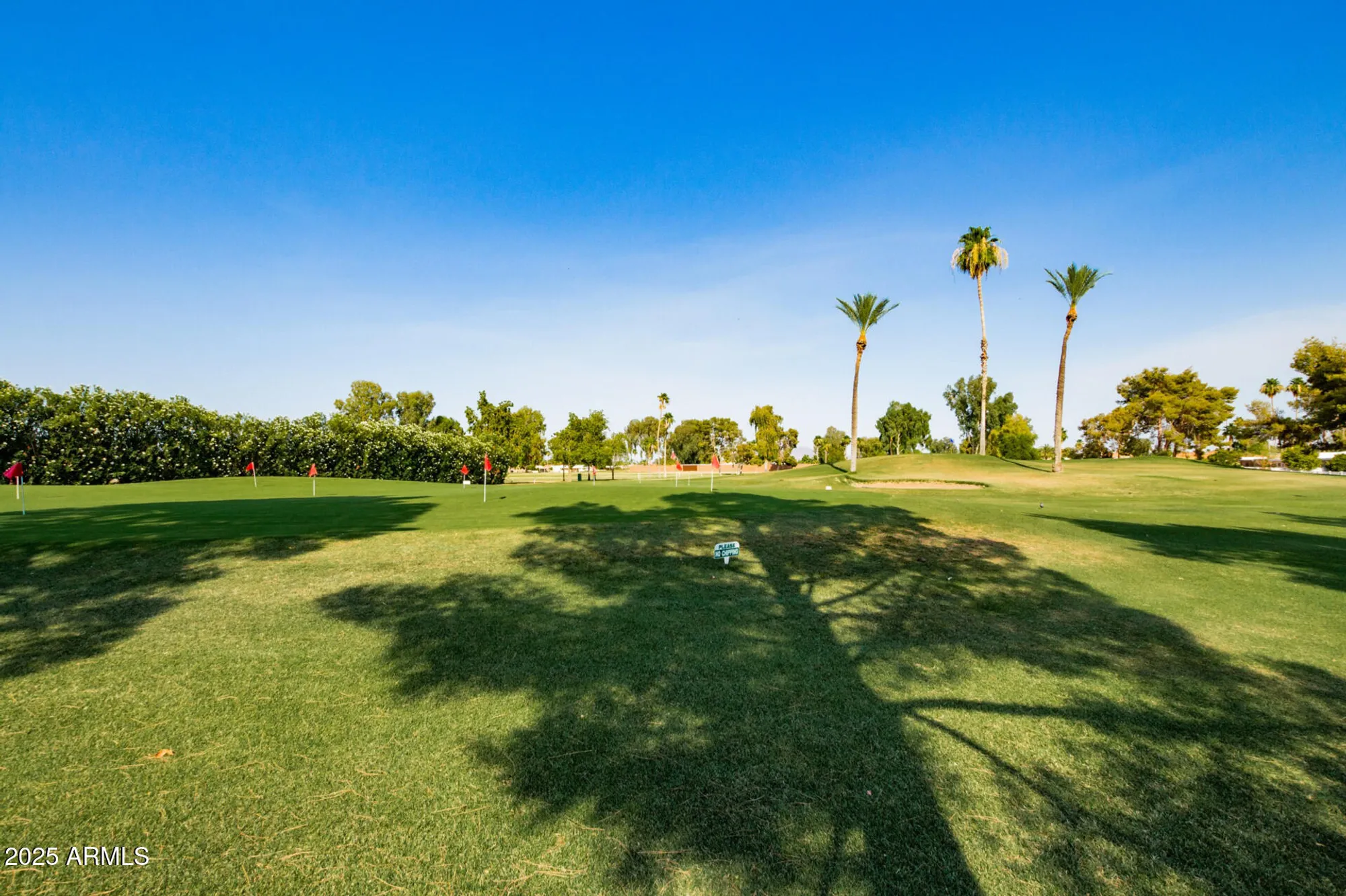 Property Slideshow image 38 of 71 | 9507 e sherwood way, Sun Lakes, AZ, 85248