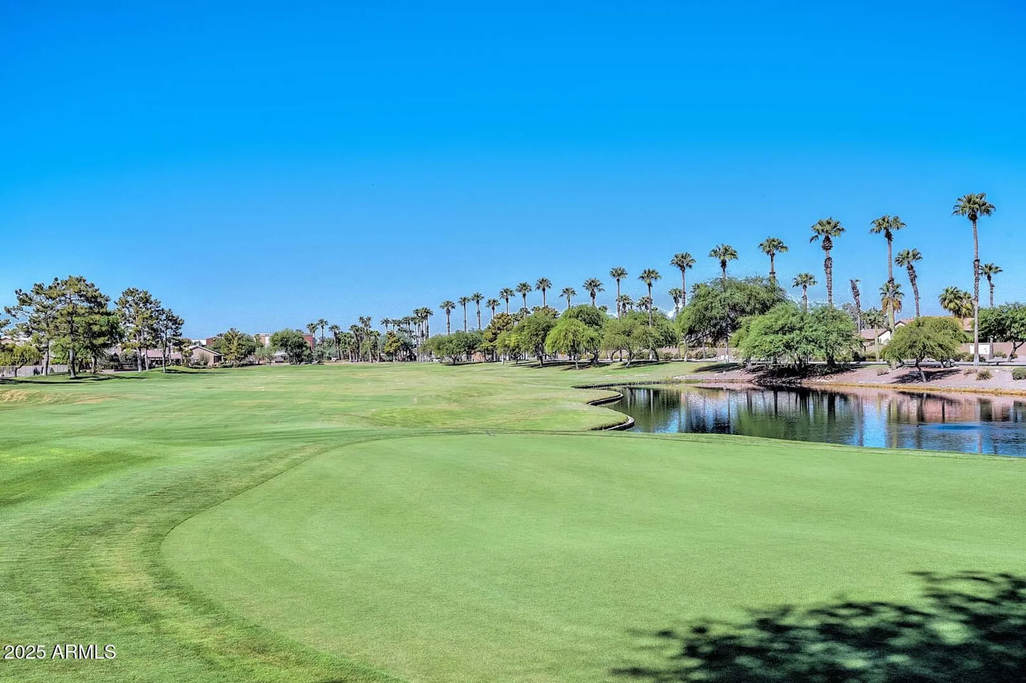 Property Slideshow image 50 of 60 | 15055 w catalina dr, Goodyear, AZ, 85395