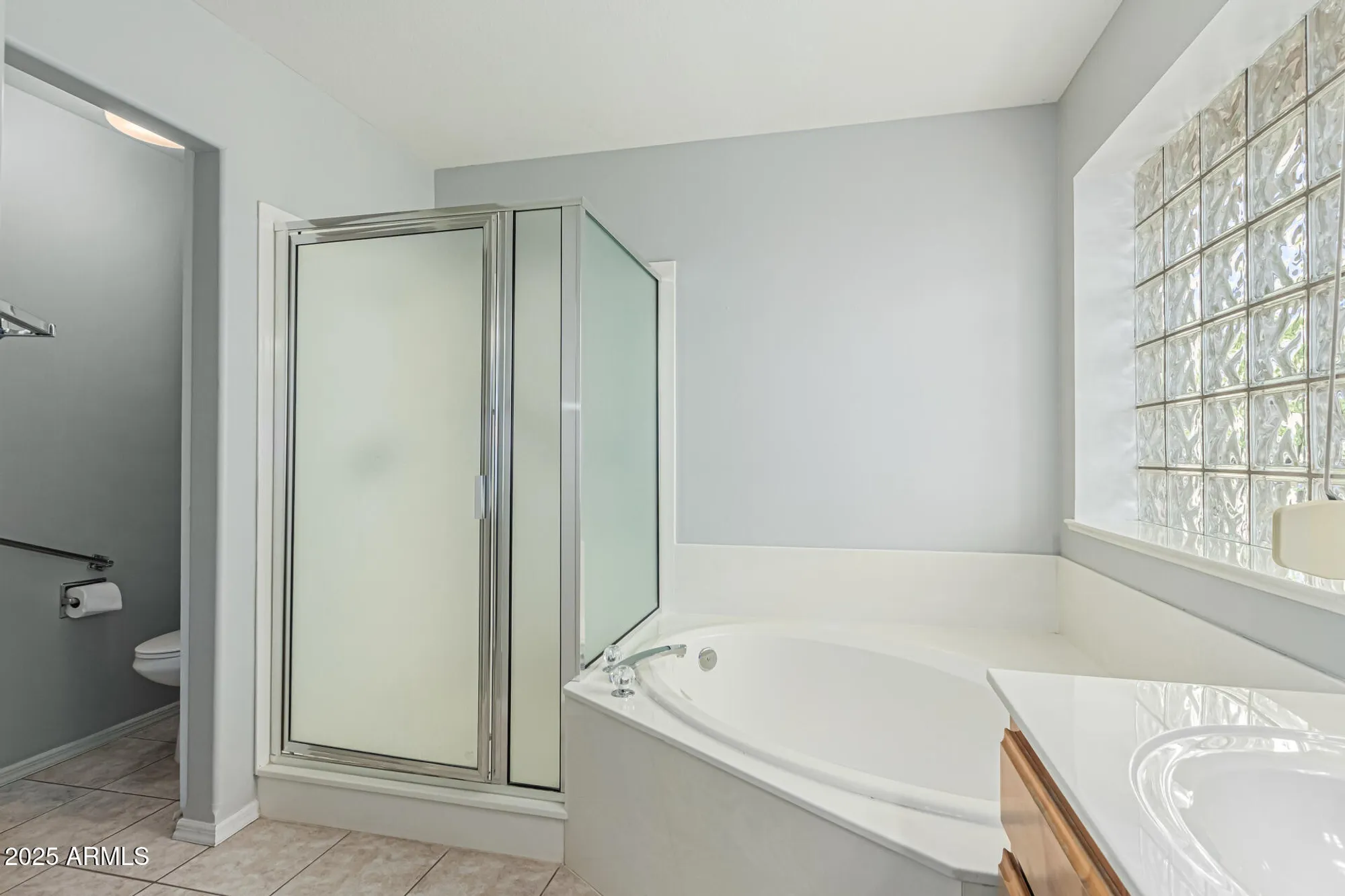 Property Slideshow image 19 of 49 | 11205 e laguna azul cir, Mesa, AZ, 85209