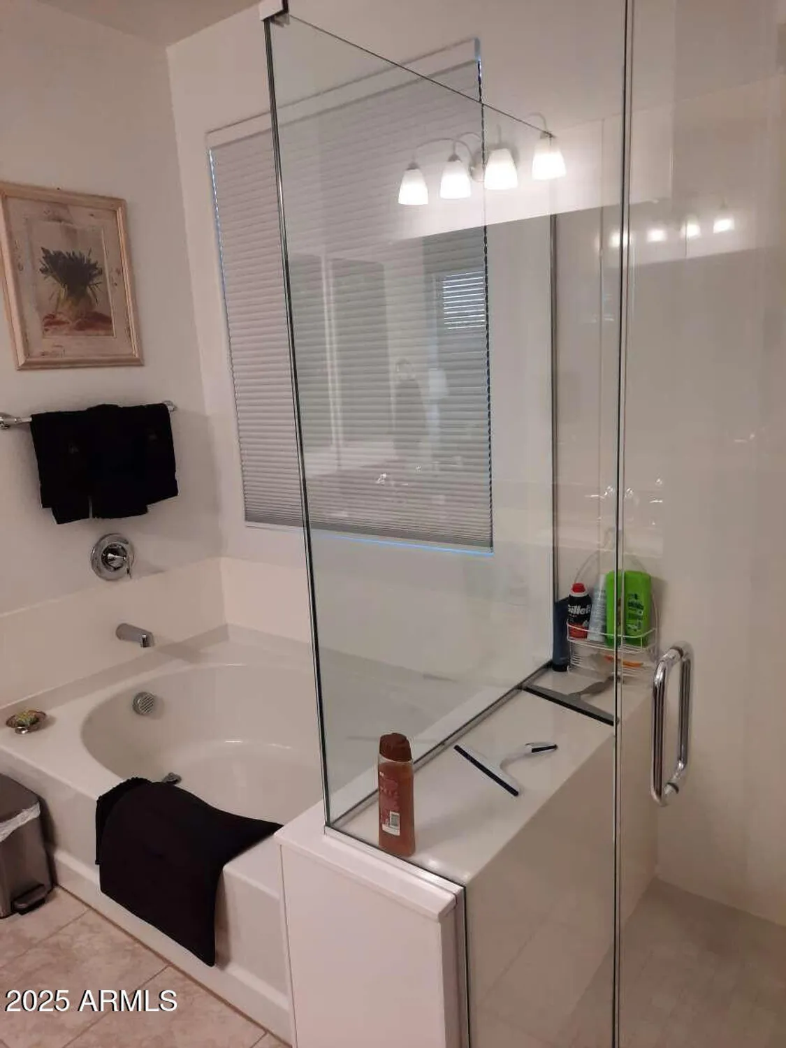 Property Slideshow image 10 of 20 | 17910 w silverwood dr, Goodyear, AZ, 85338