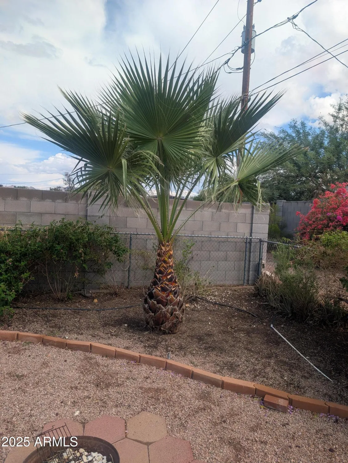 Property Slideshow image 20 of 22 | 1161 s grand dr, Apache Junction, AZ, 85120