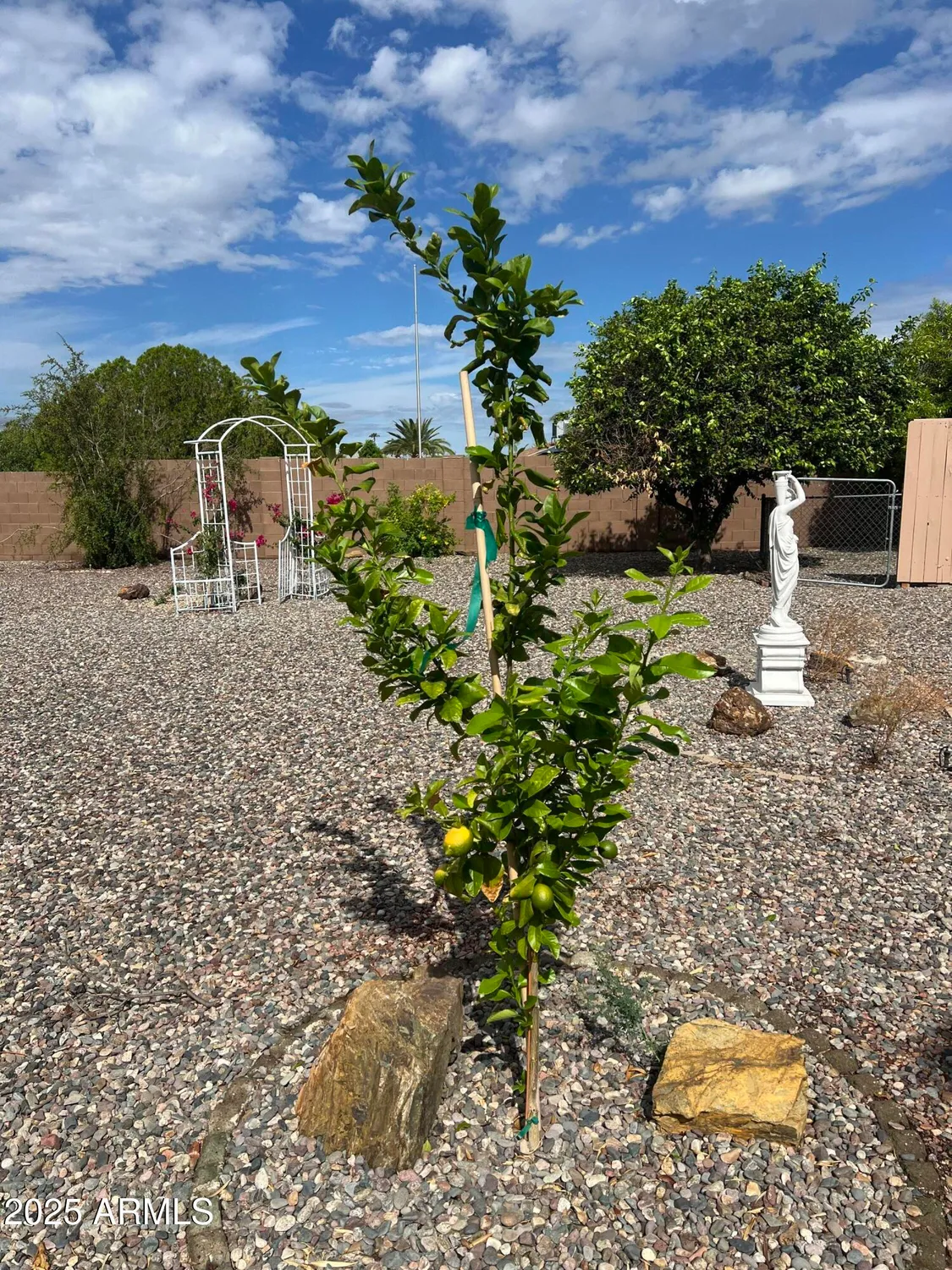 Property Slideshow image 26 of 33 | 12418 n vista grande ct, Sun City, AZ, 85351