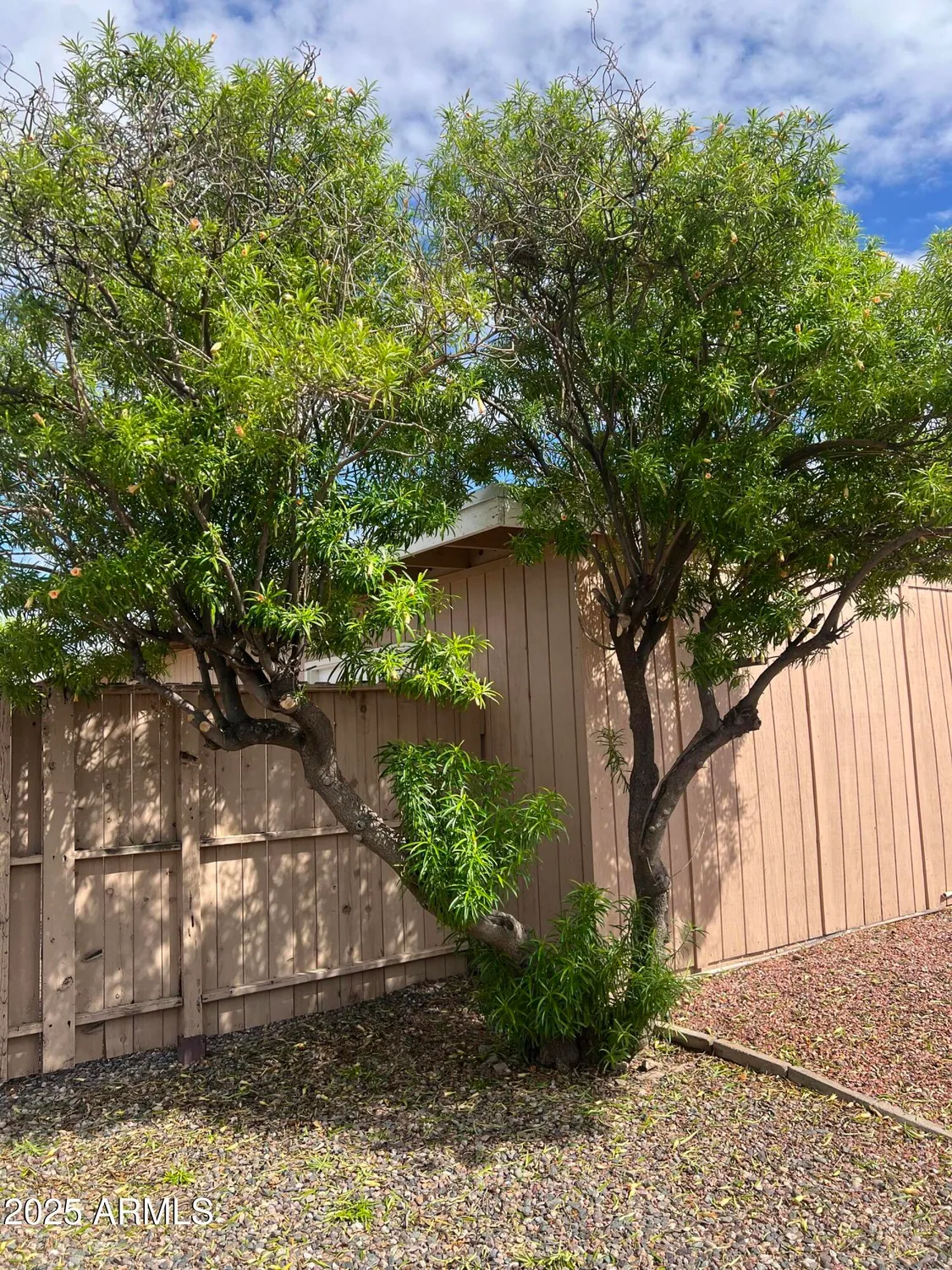 Property Slideshow image 29 of 33 | 12418 n vista grande ct, Sun City, AZ, 85351