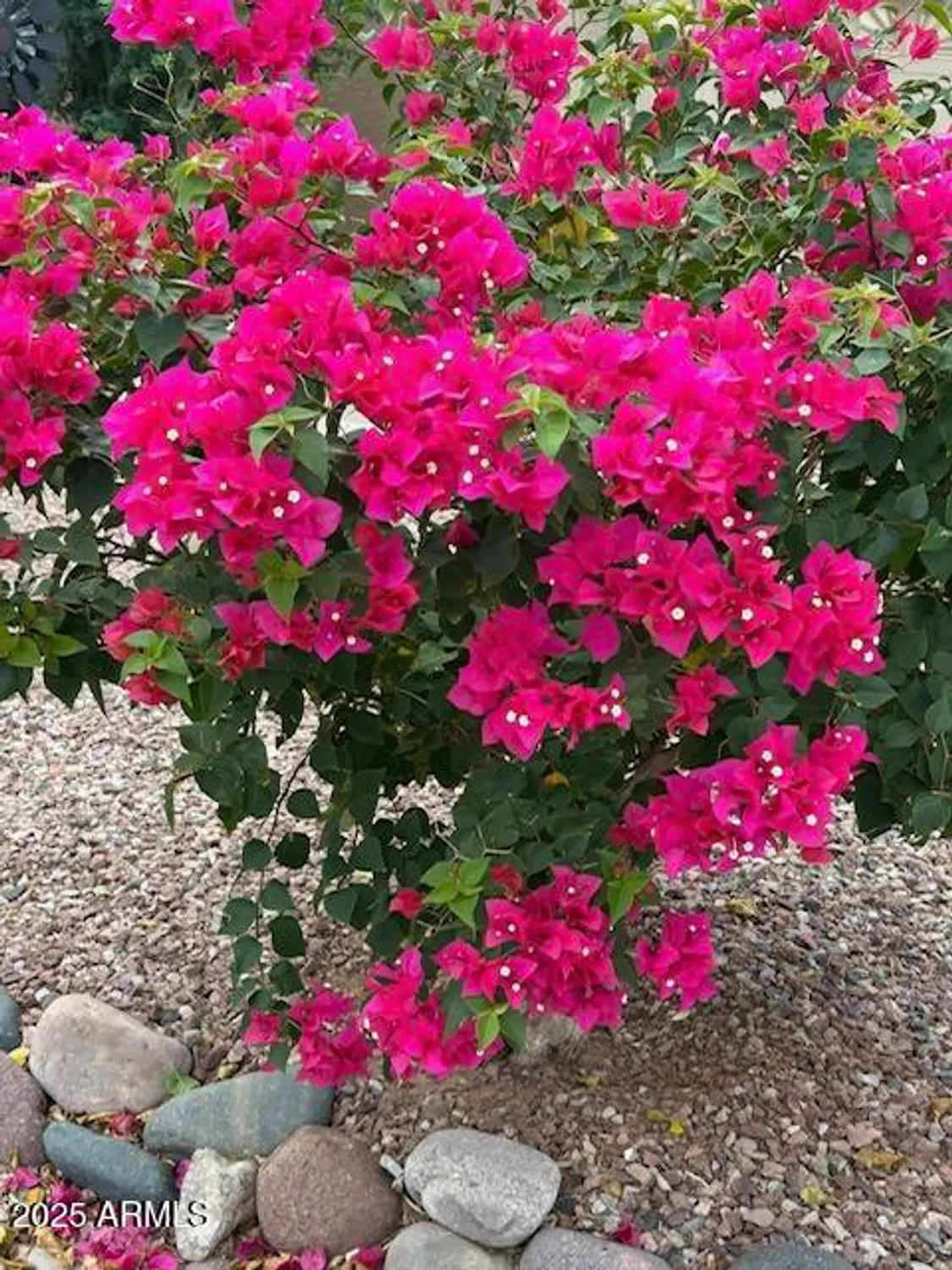 Property Slideshow image 47 of 50 | 1295 n lantana pl, Casa Grande, AZ, 85122