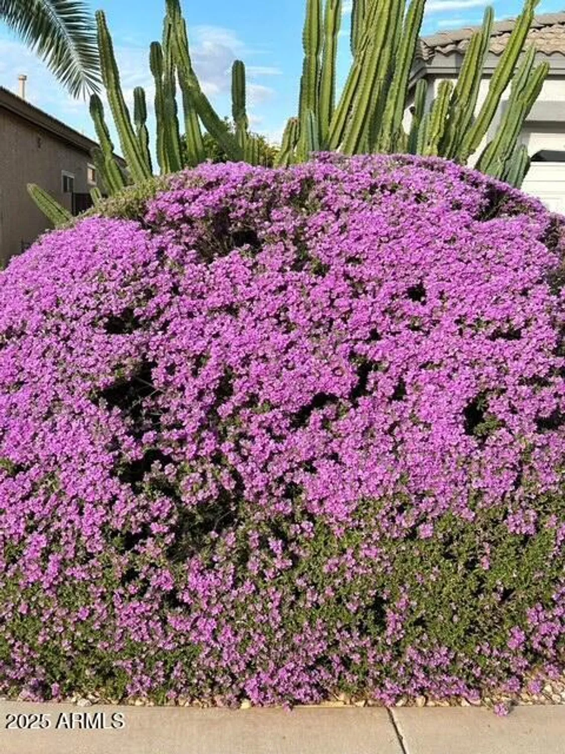 Property Slideshow image 48 of 50 | 1295 n lantana pl, Casa Grande, AZ, 85122