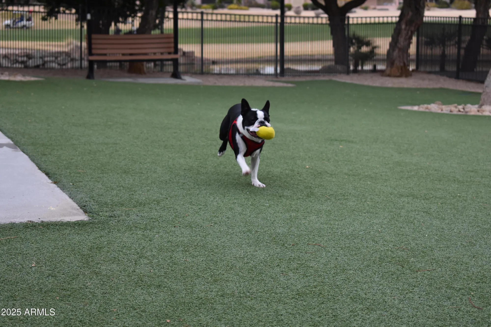 Property Slideshow image 34 of 40 | 17451 n saddle ridge dr, Surprise, AZ, 85374