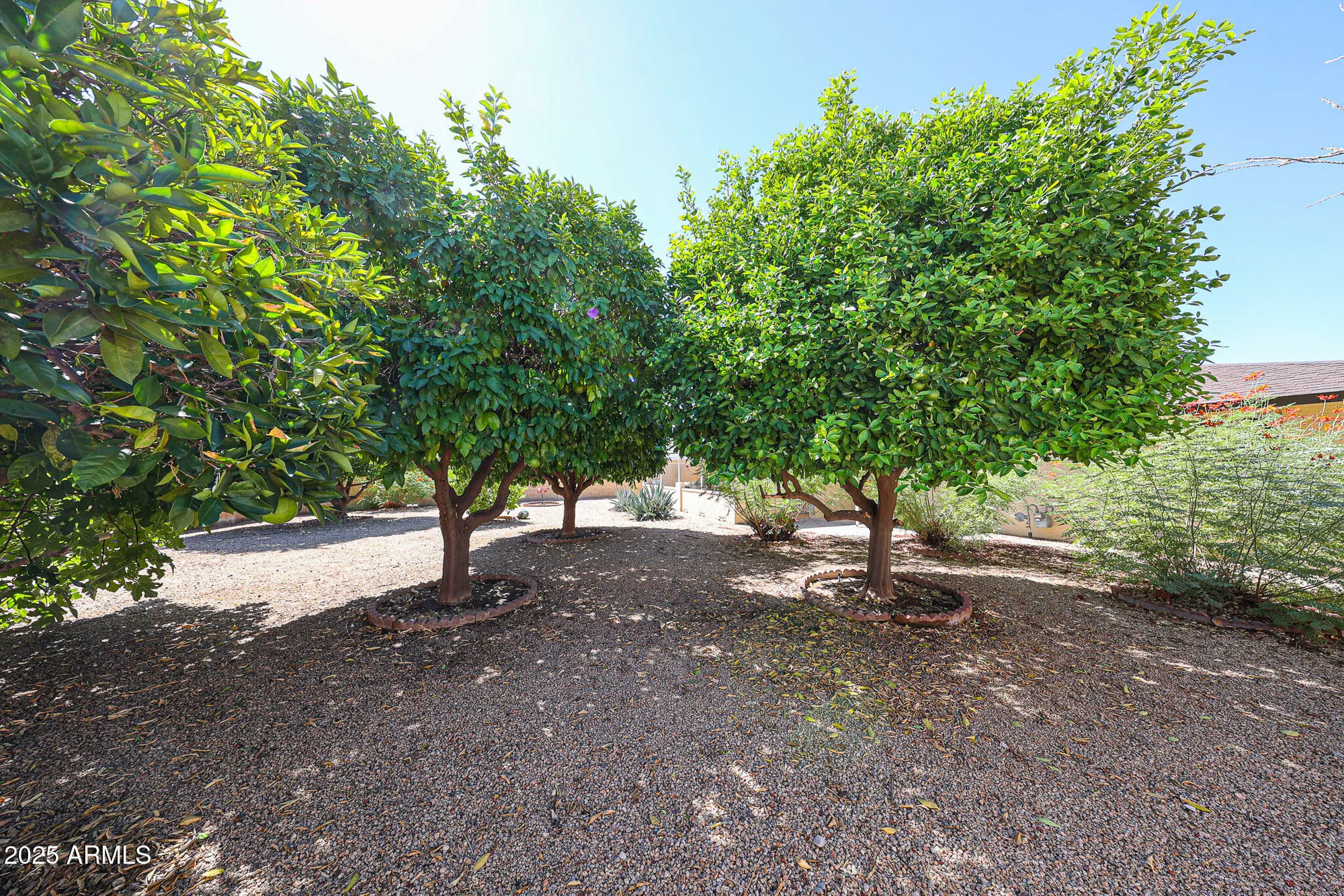 Property Slideshow image 30 of 39 | 14227 n sierra dawn way, Sun City, AZ, 85351