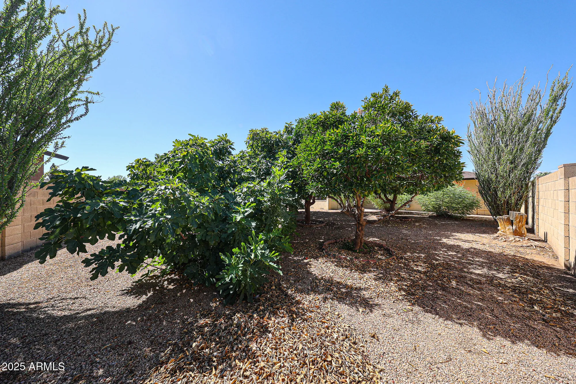 Property Slideshow image 31 of 39 | 14227 n sierra dawn way, Sun City, AZ, 85351