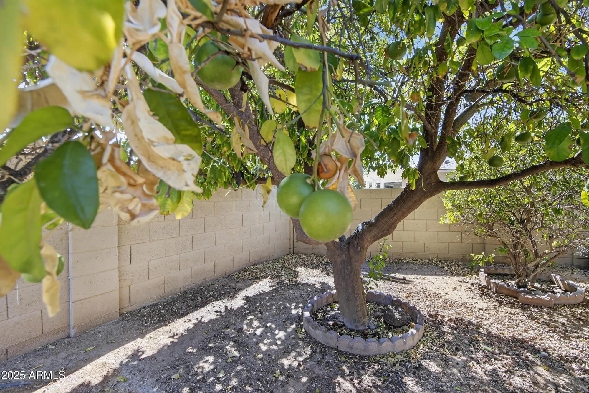Property Slideshow image 48 of 62 | 26003 s cedarcrest dr, Sun Lakes, AZ, 85248