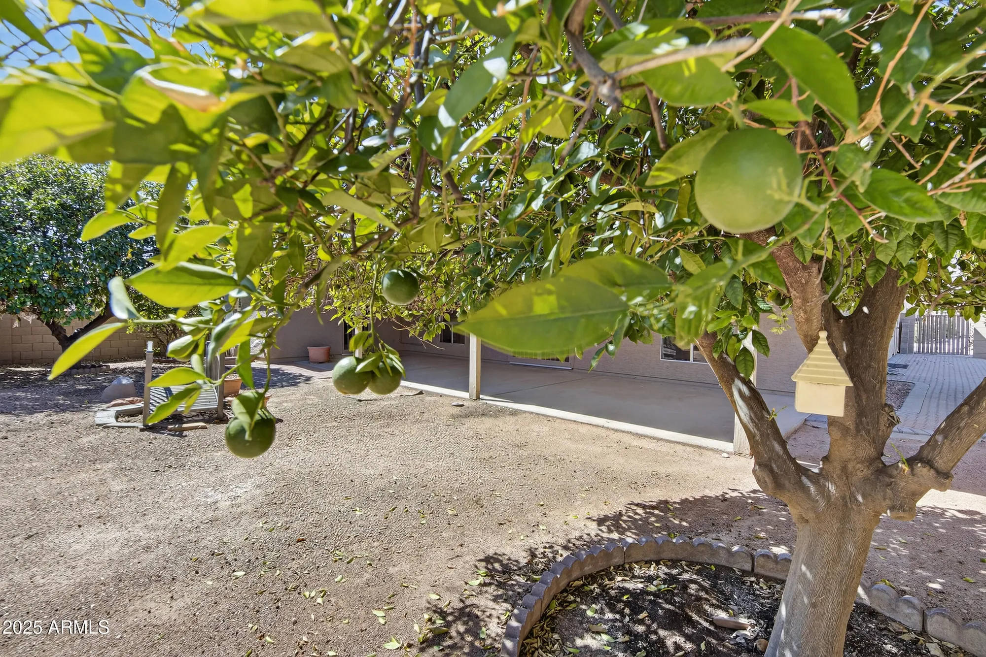 Property Slideshow image 51 of 62 | 26003 s cedarcrest dr, Sun Lakes, AZ, 85248