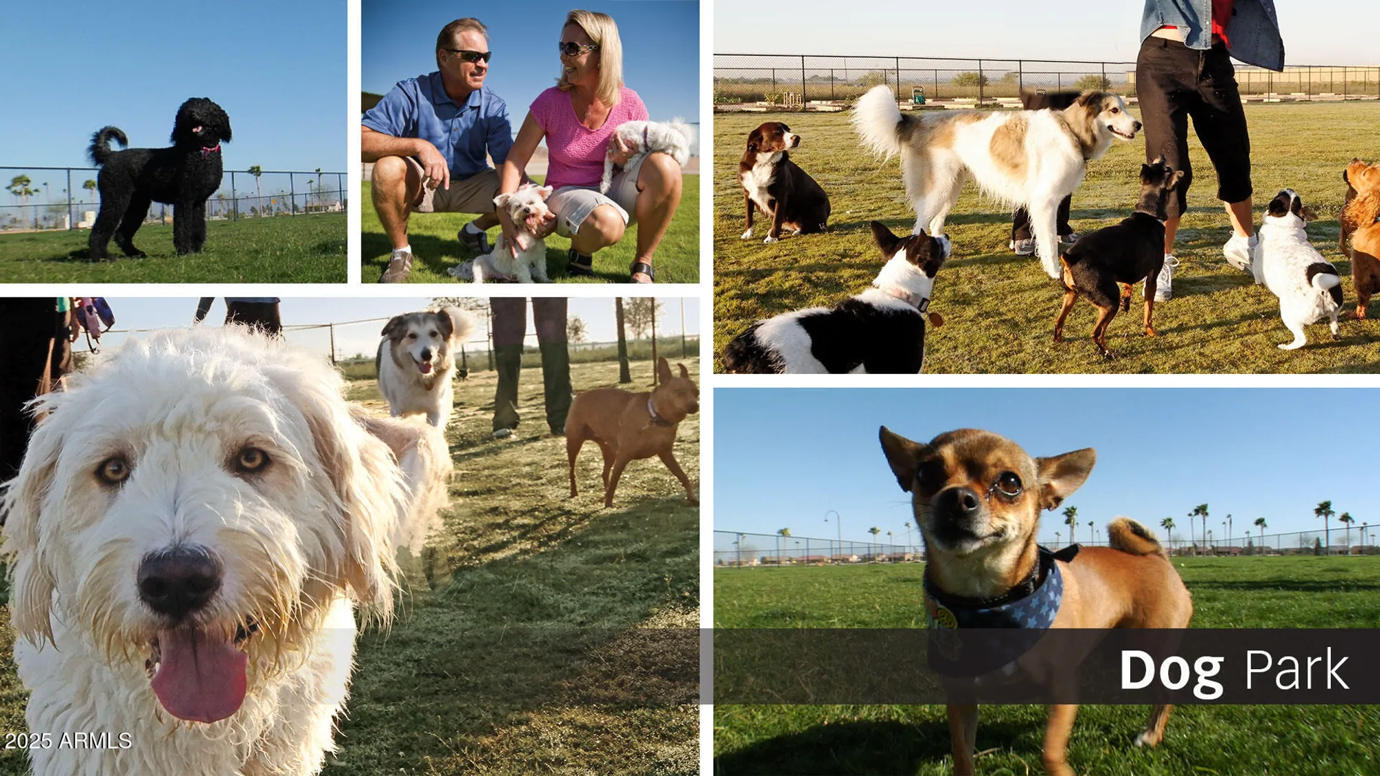 Property Slideshow image 19 of 27 | 4181 w hanna dr, Eloy, AZ, 85131