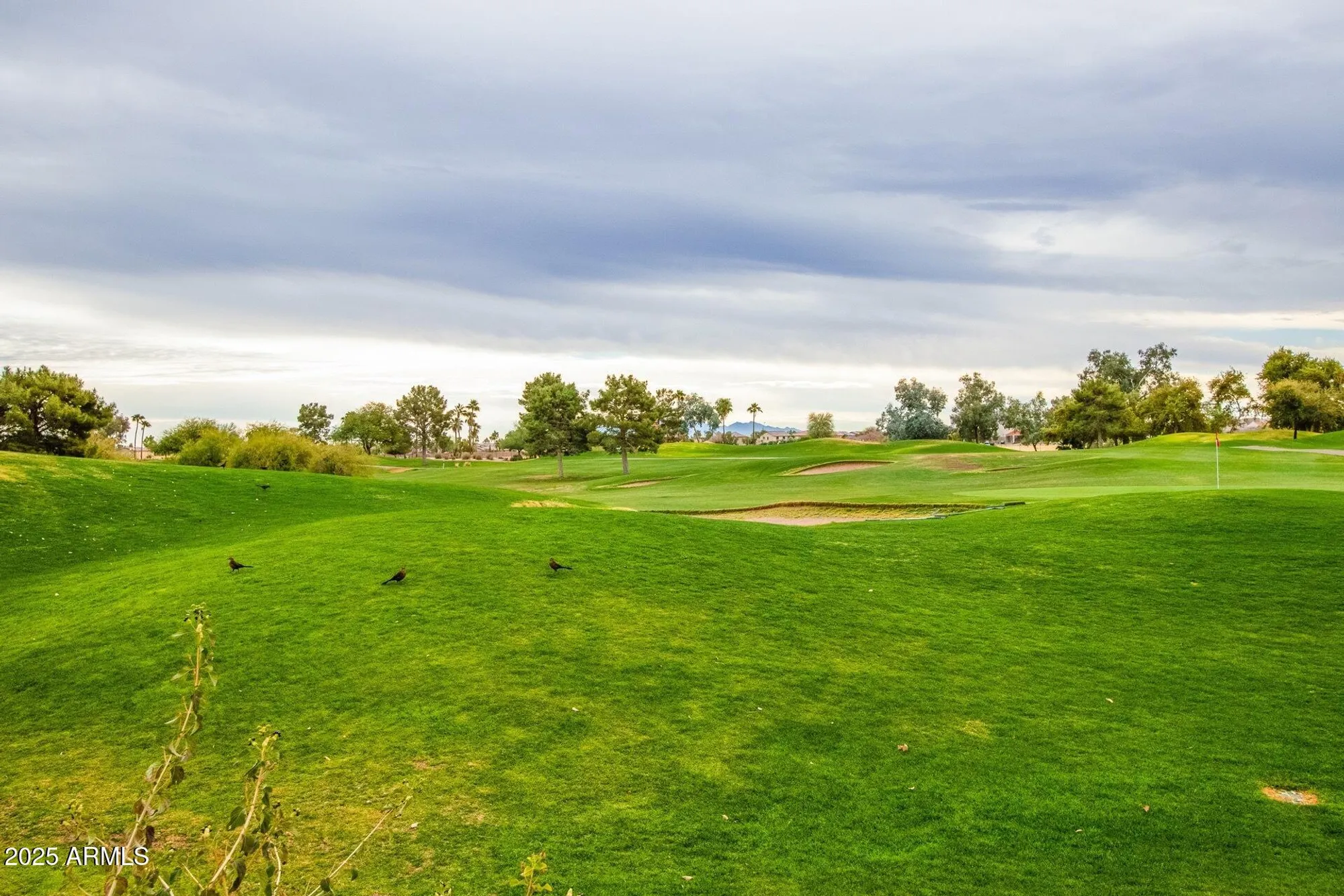 Property Slideshow image 60 of 68 | 17845 w arizona dr, Surprise, AZ, 85374