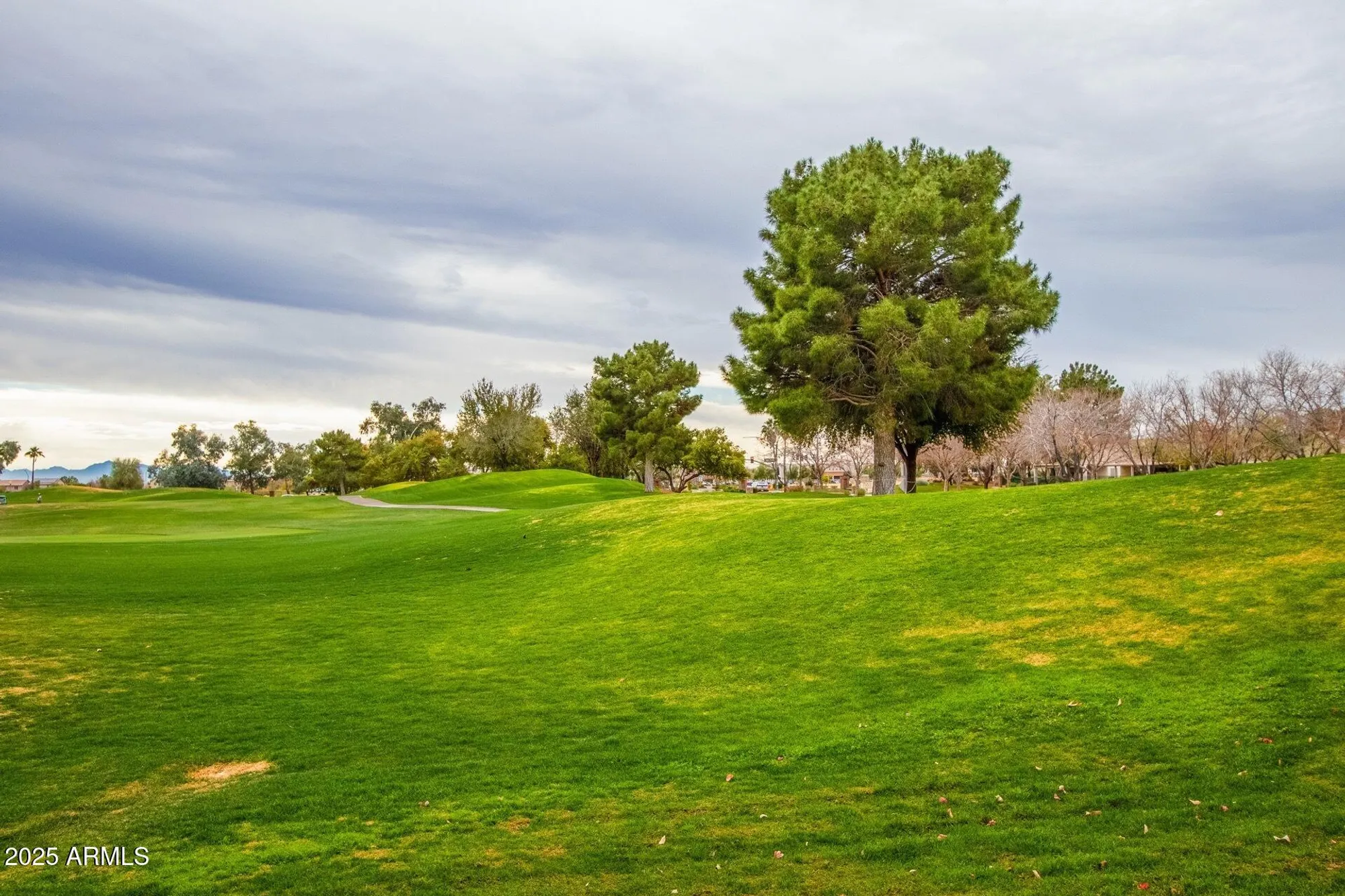 Property Slideshow image 61 of 68 | 17845 w arizona dr, Surprise, AZ, 85374