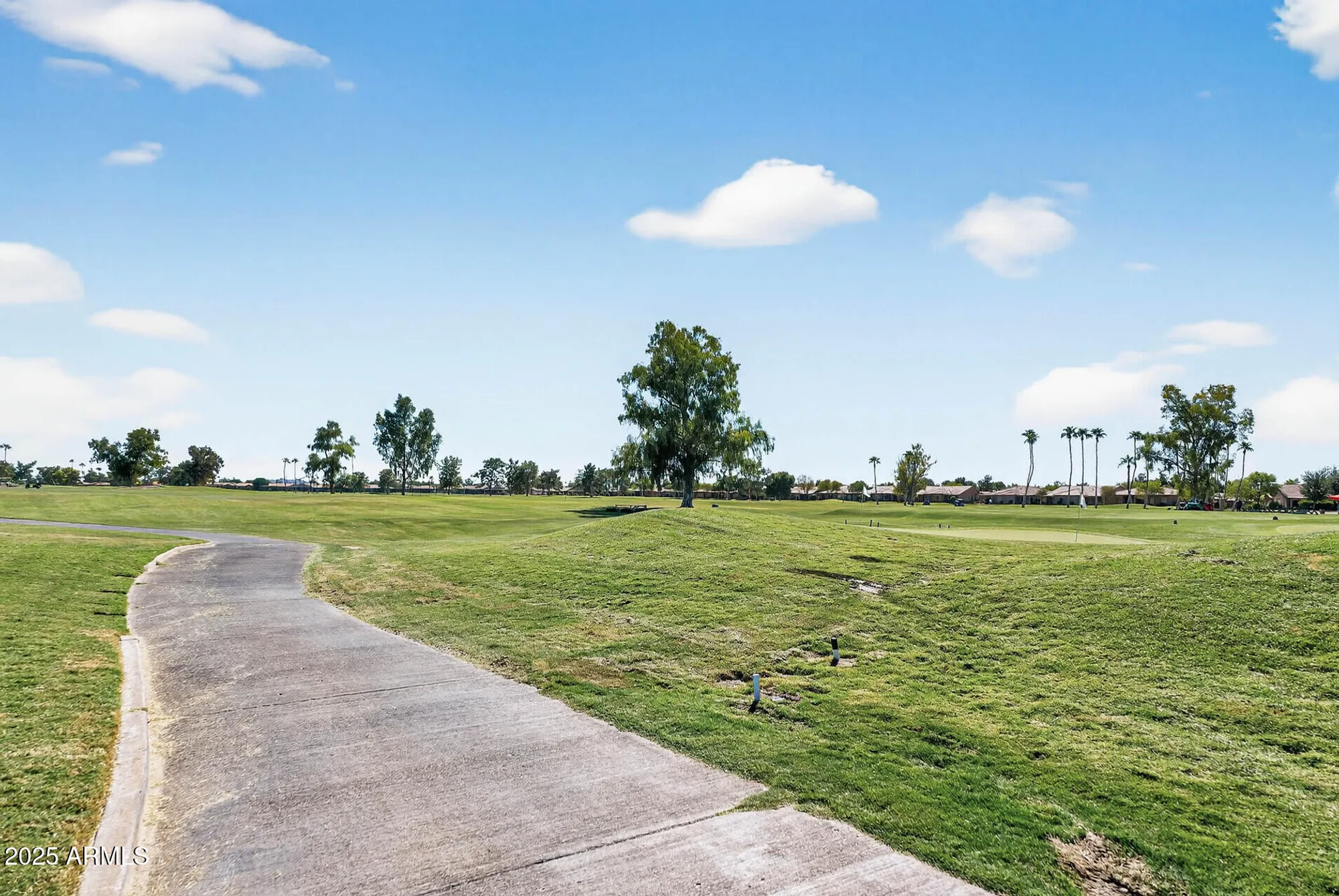 Property Slideshow image 58 of 60 | 25031 s desert trail ct, Sun Lakes, AZ, 85248