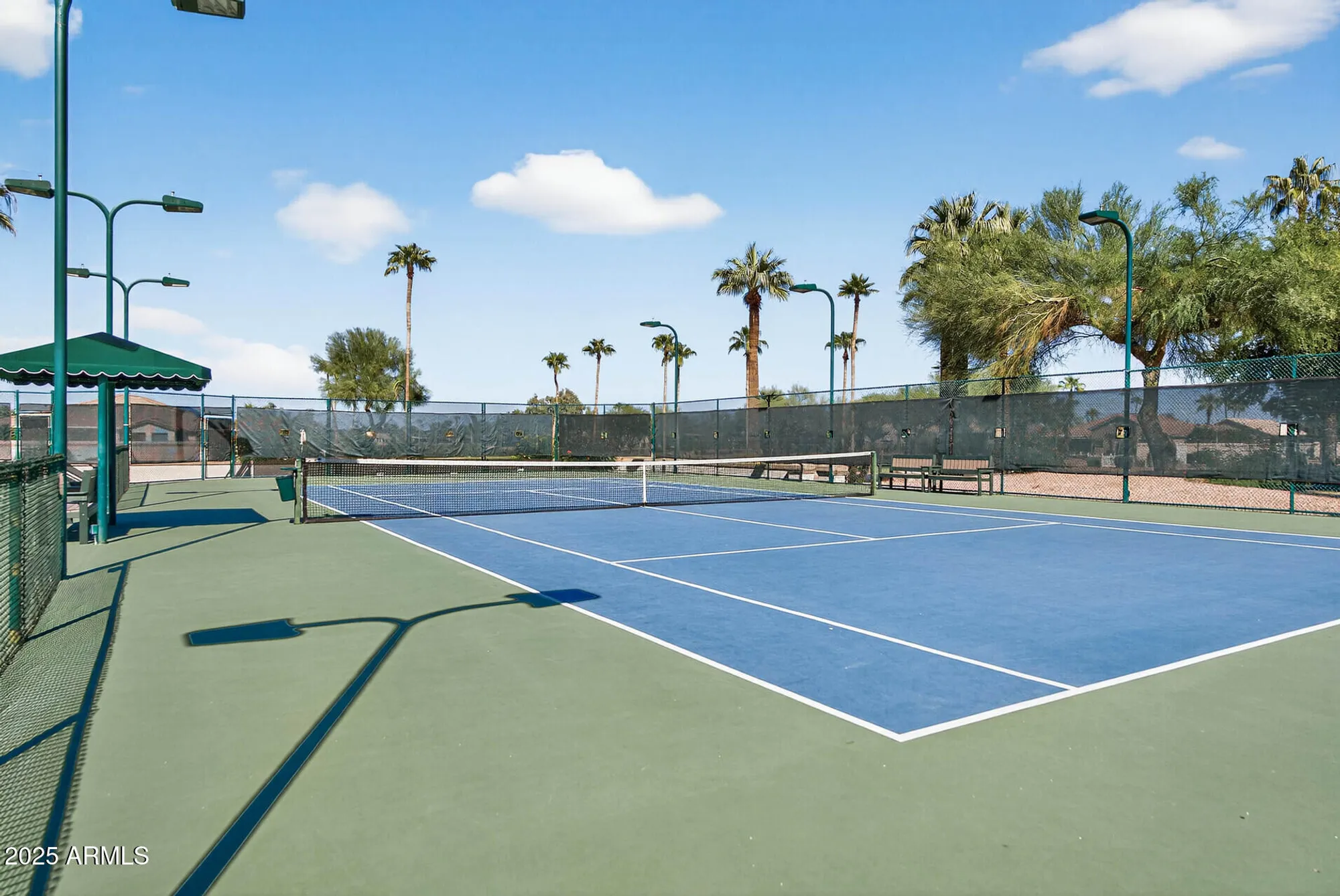 Property Slideshow image 59 of 60 | 25031 s desert trail ct, Sun Lakes, AZ, 85248