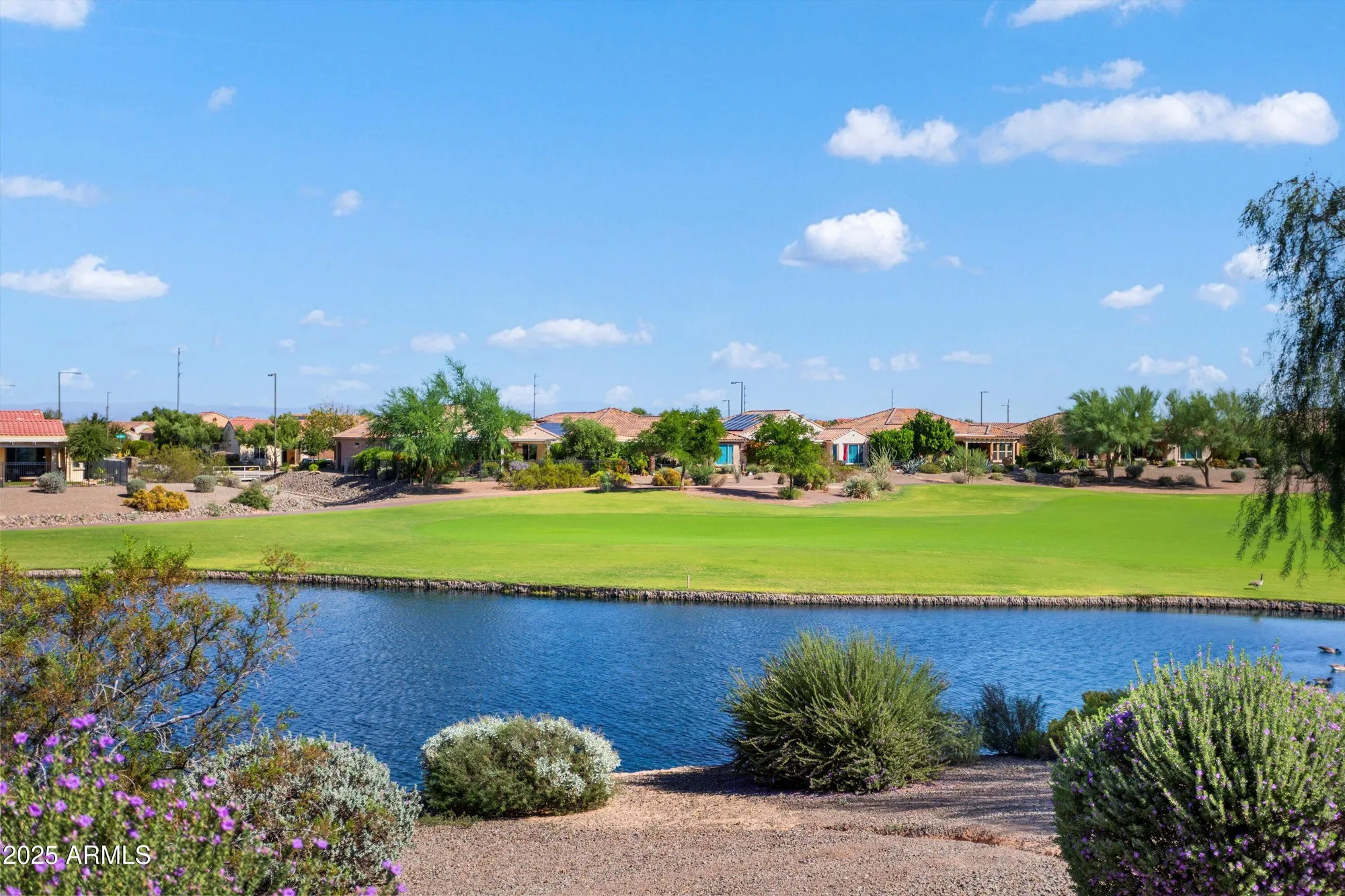 Property Slideshow image 55 of 72 | 26534 w abraham ln, Buckeye, AZ, 85396