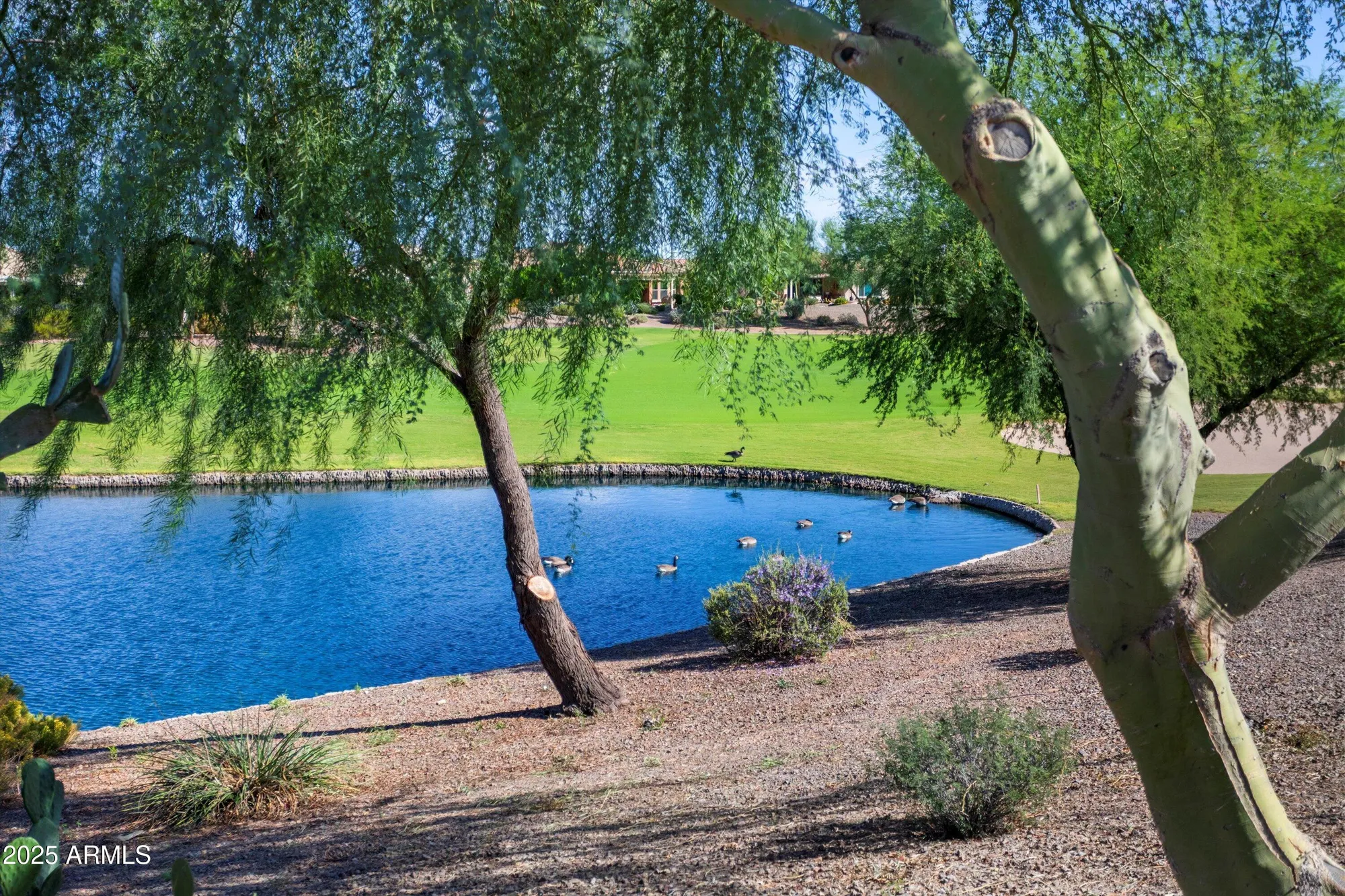 Property Slideshow image 54 of 72 | 26534 w abraham ln, Buckeye, AZ, 85396
