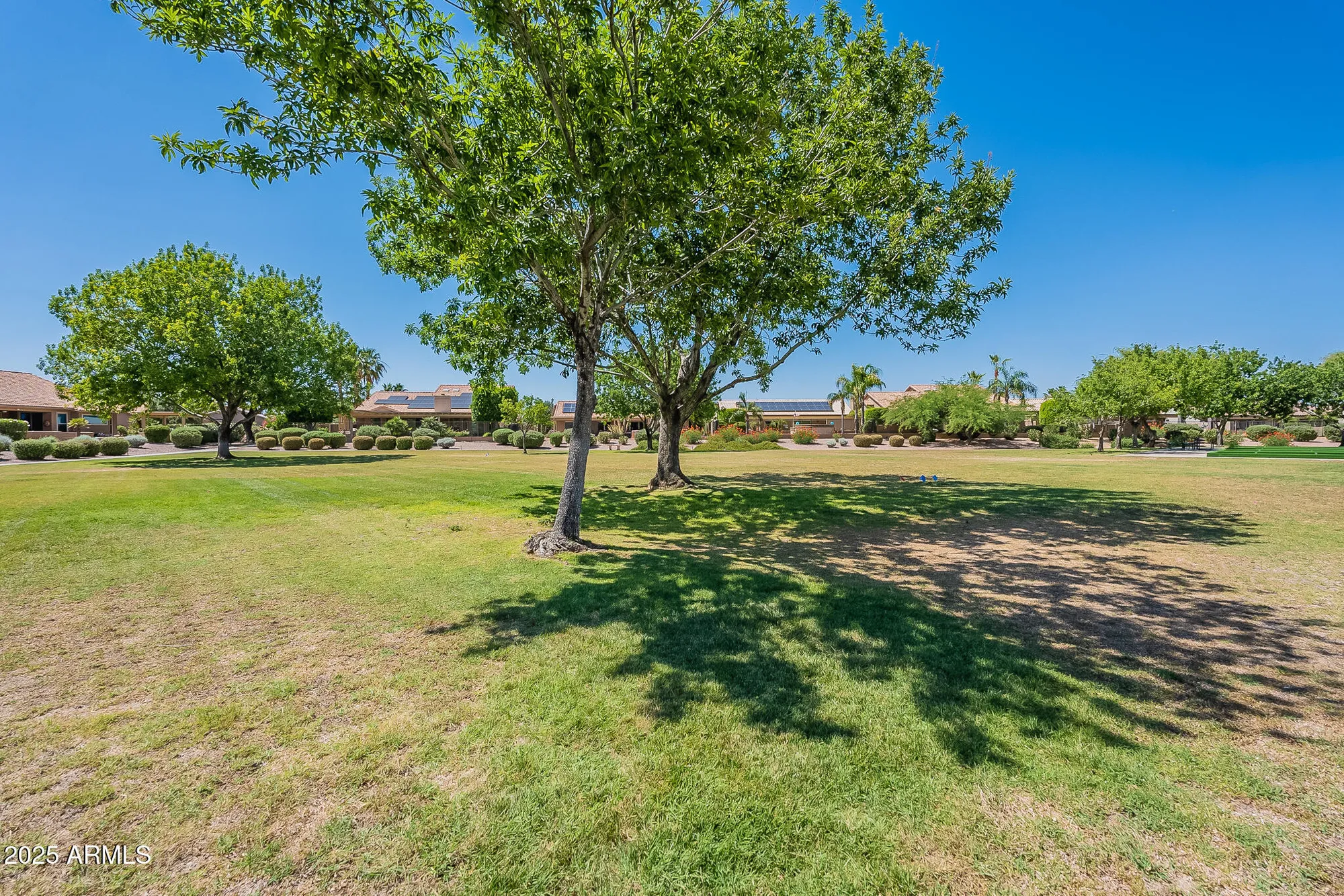 Property Slideshow image 71 of 78 | 15514 w piccadilly rd, Goodyear, AZ, 85395