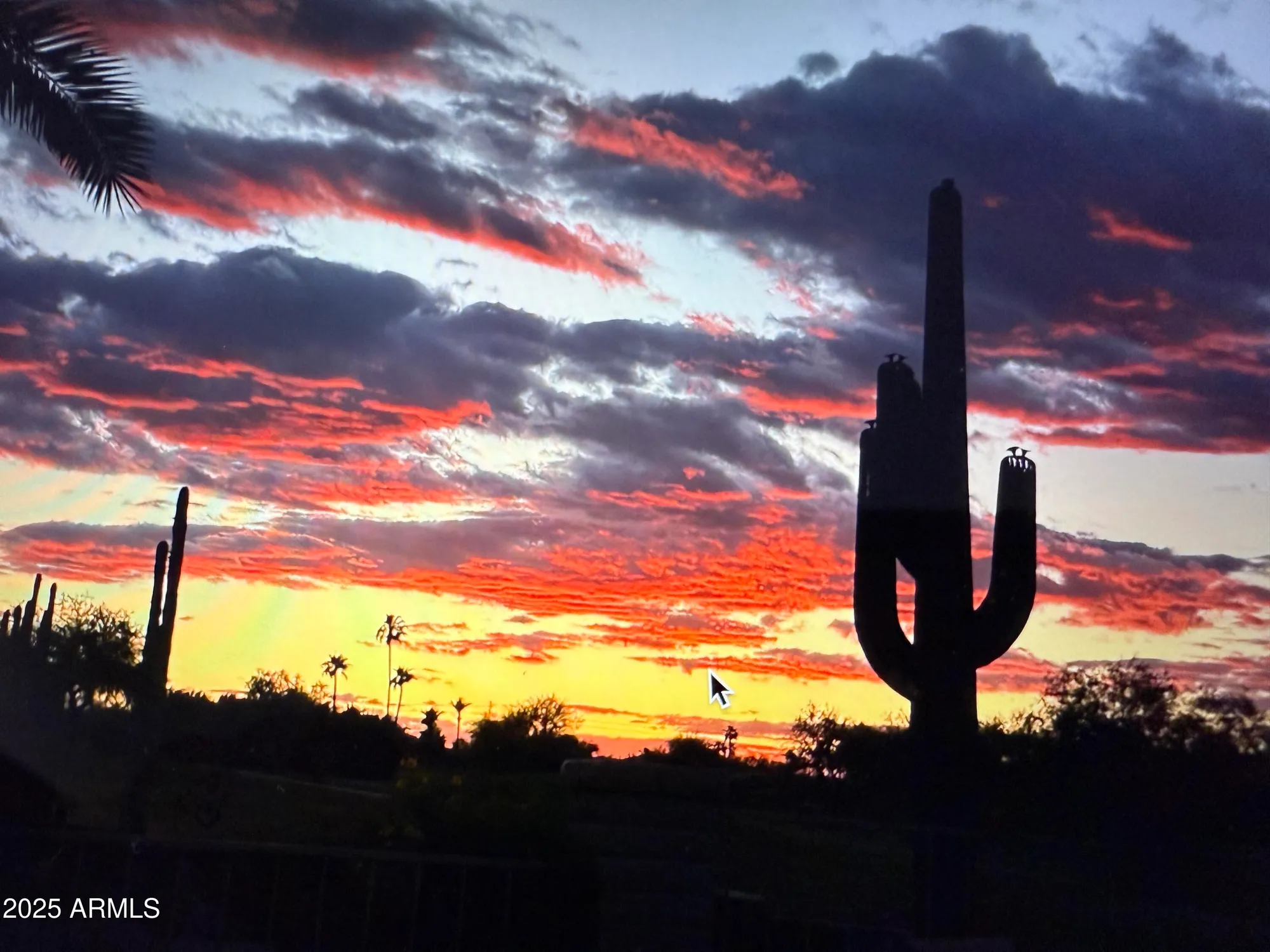 Property Slideshow image 39 of 88 | 18738 e buckskin dr, Rio Verde, AZ, 85263