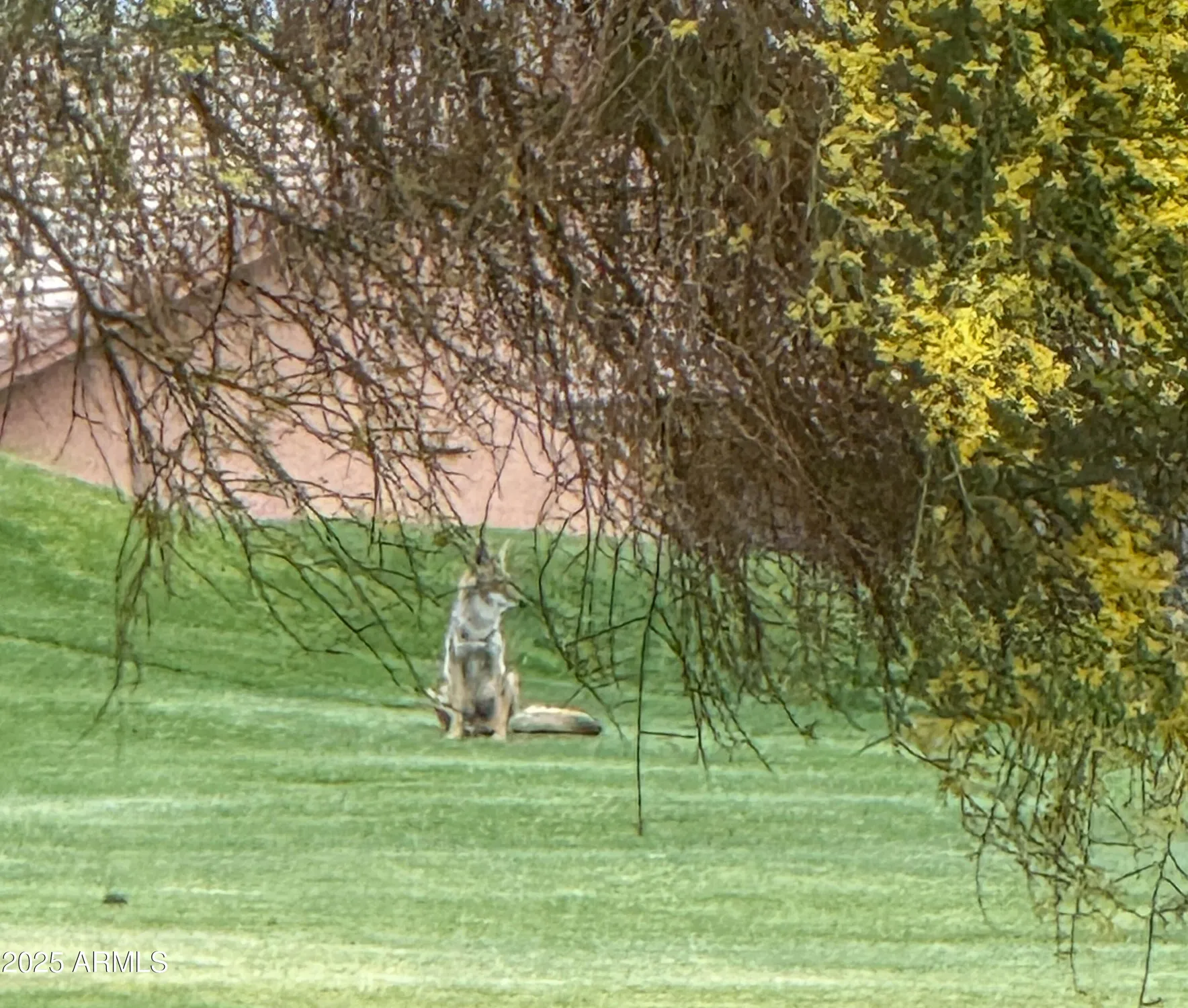 Property Slideshow image 25 of 26 | 4970 s desert willow dr, Gold Canyon, AZ, 85118