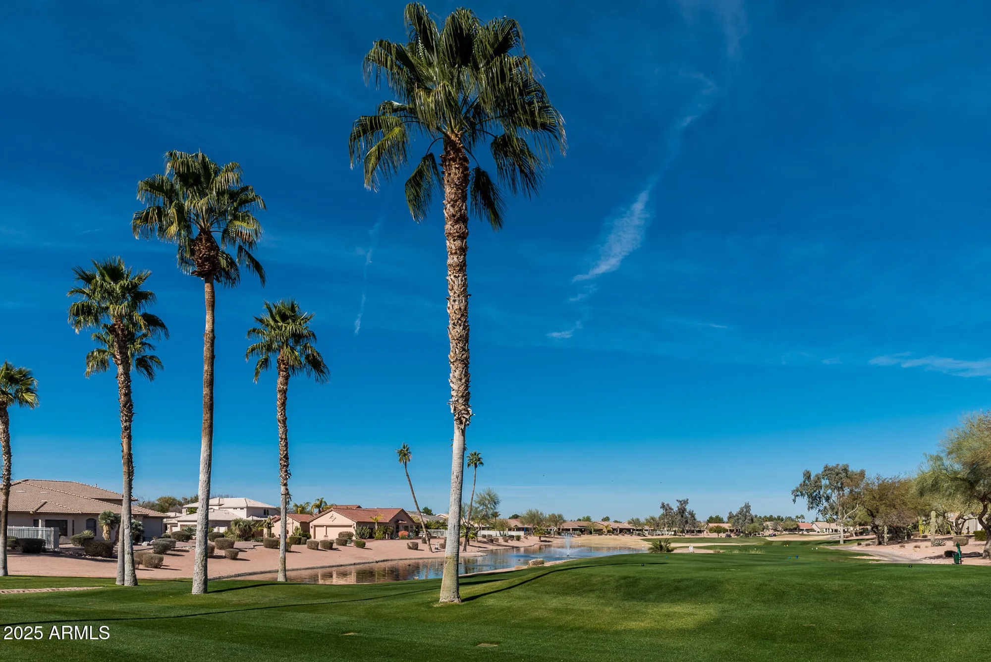 Property Slideshow image 110 of 112 | 10050 e coopers hawk dr, Sun Lakes, AZ, 85248