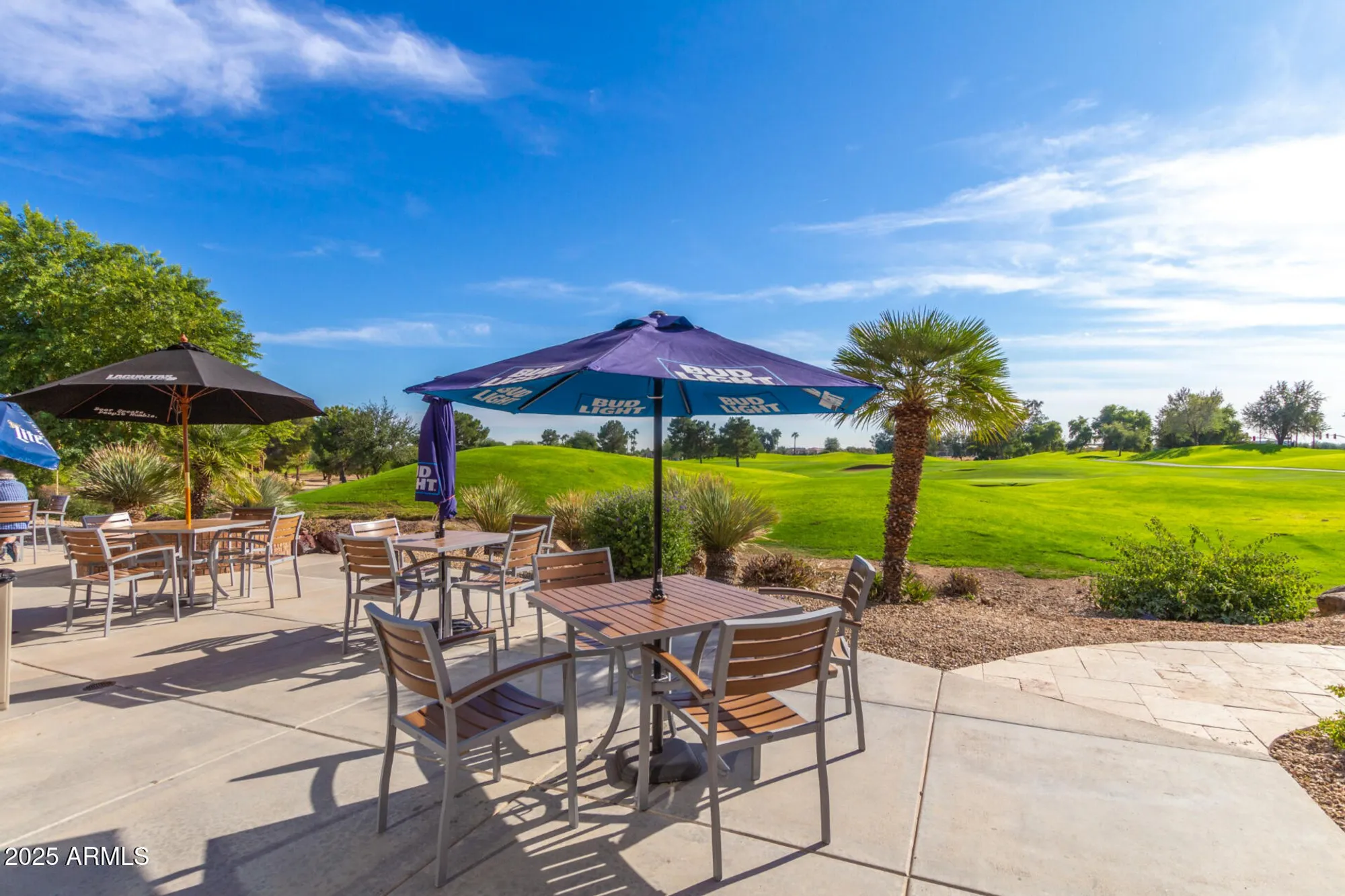 Property Slideshow image 69 of 88 | 17806 n becke ln, Surprise, AZ, 85374