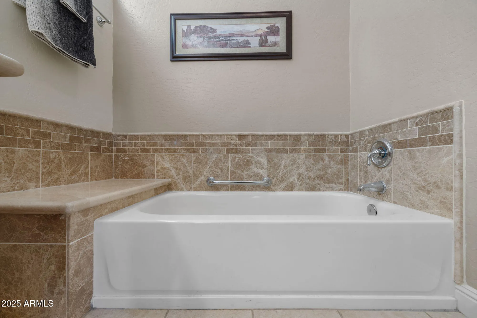 Property Slideshow image 20 of 57 | 19925 n half moon dr, Surprise, AZ, 85374