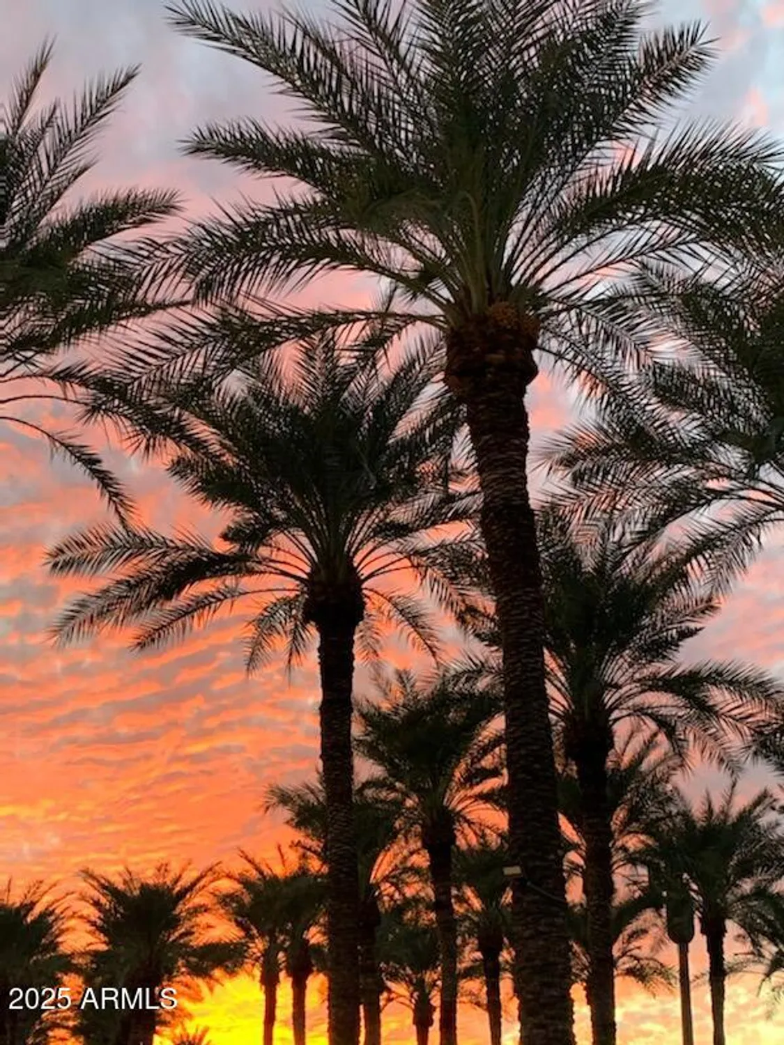 Property Slideshow image 73 of 73 | 15749 w clear canyon dr, Surprise, AZ, 85374