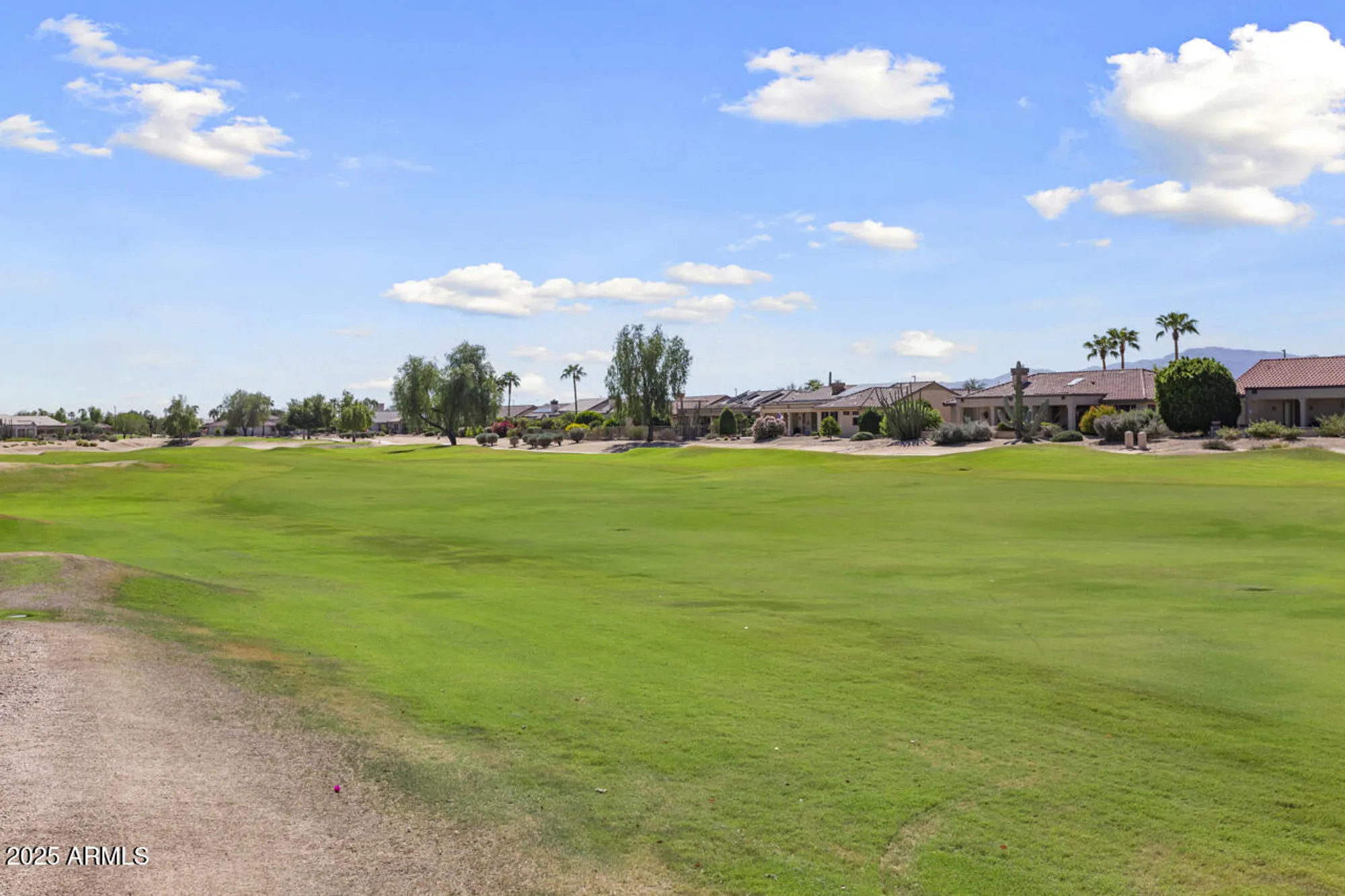 Property Slideshow image 46 of 55 | 18172 n petrified forest dr, Surprise, AZ, 85374