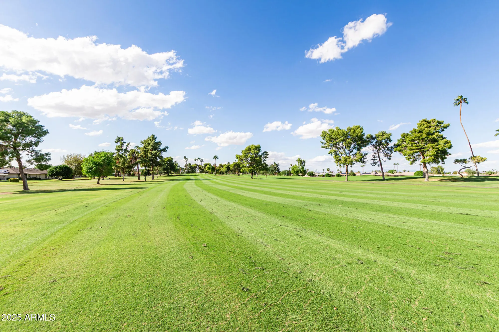 Property Slideshow image 22 of 31 | 9625 w oak ridge dr, Sun City, AZ, 85351