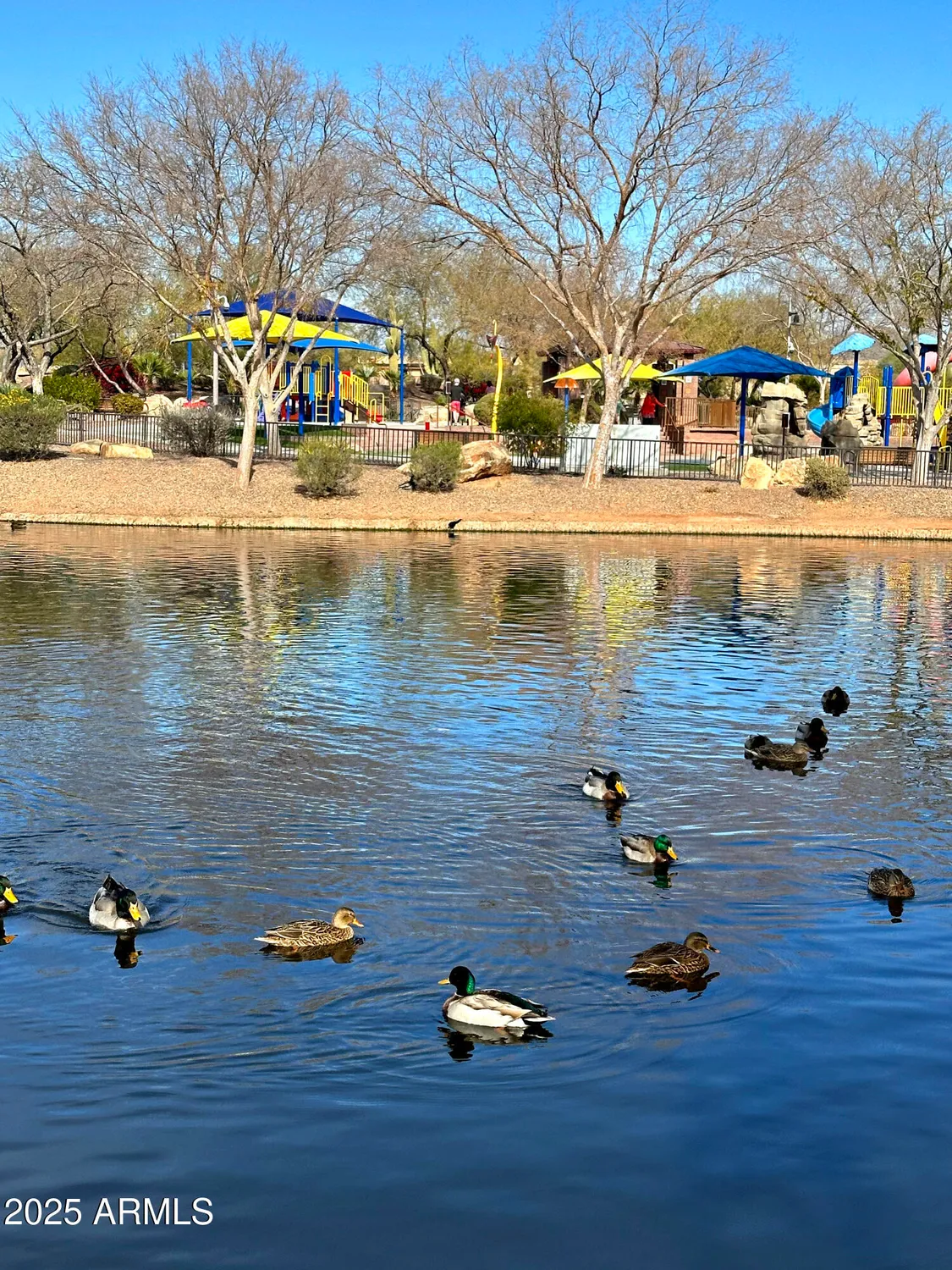 Property Slideshow image 65 of 100 | 40309 n la cantera ct, Phoenix, AZ, 85086