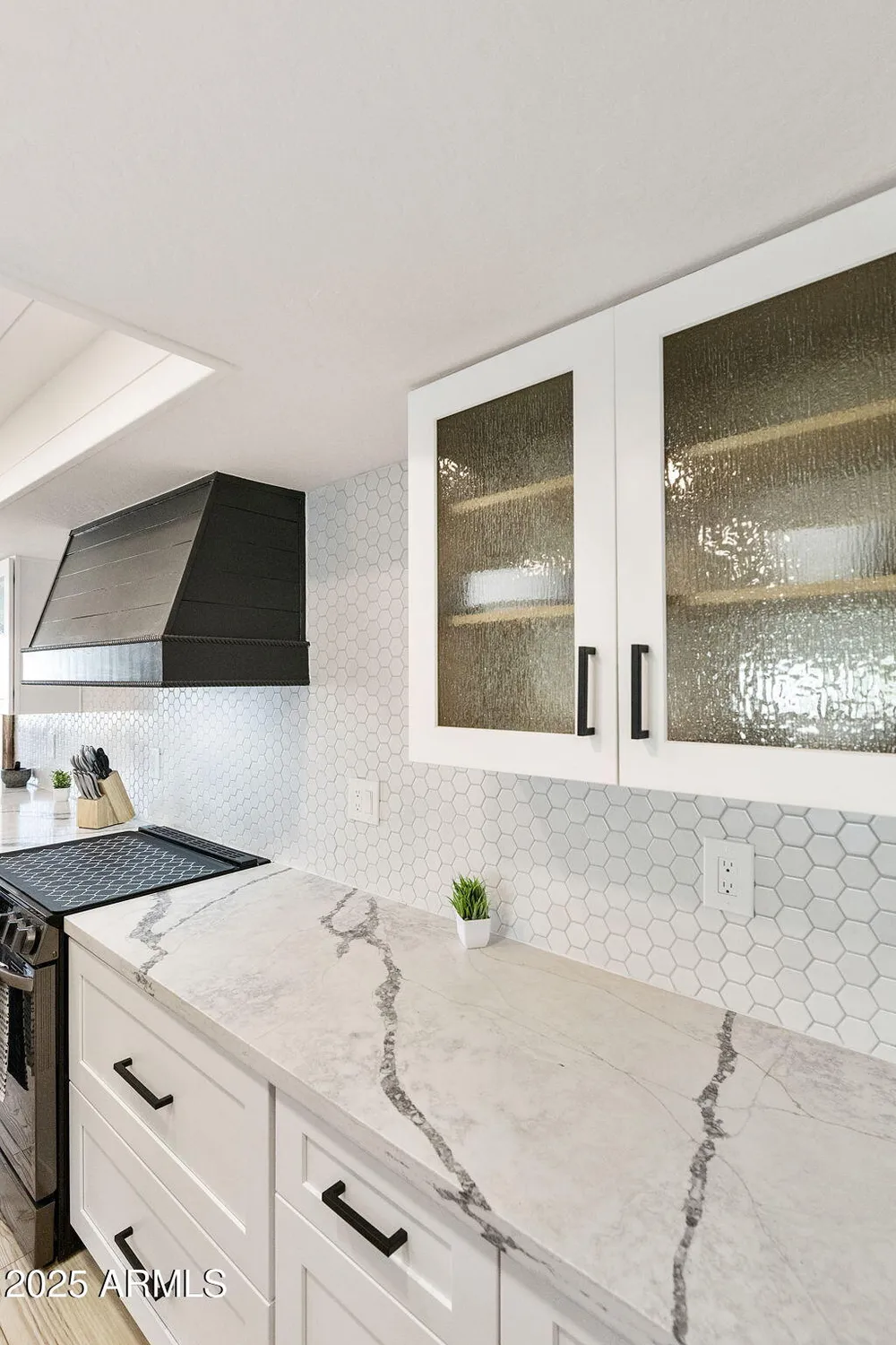 Property Slideshow image 14 of 77 | 1102 s park view cir, Mesa, AZ, 85208