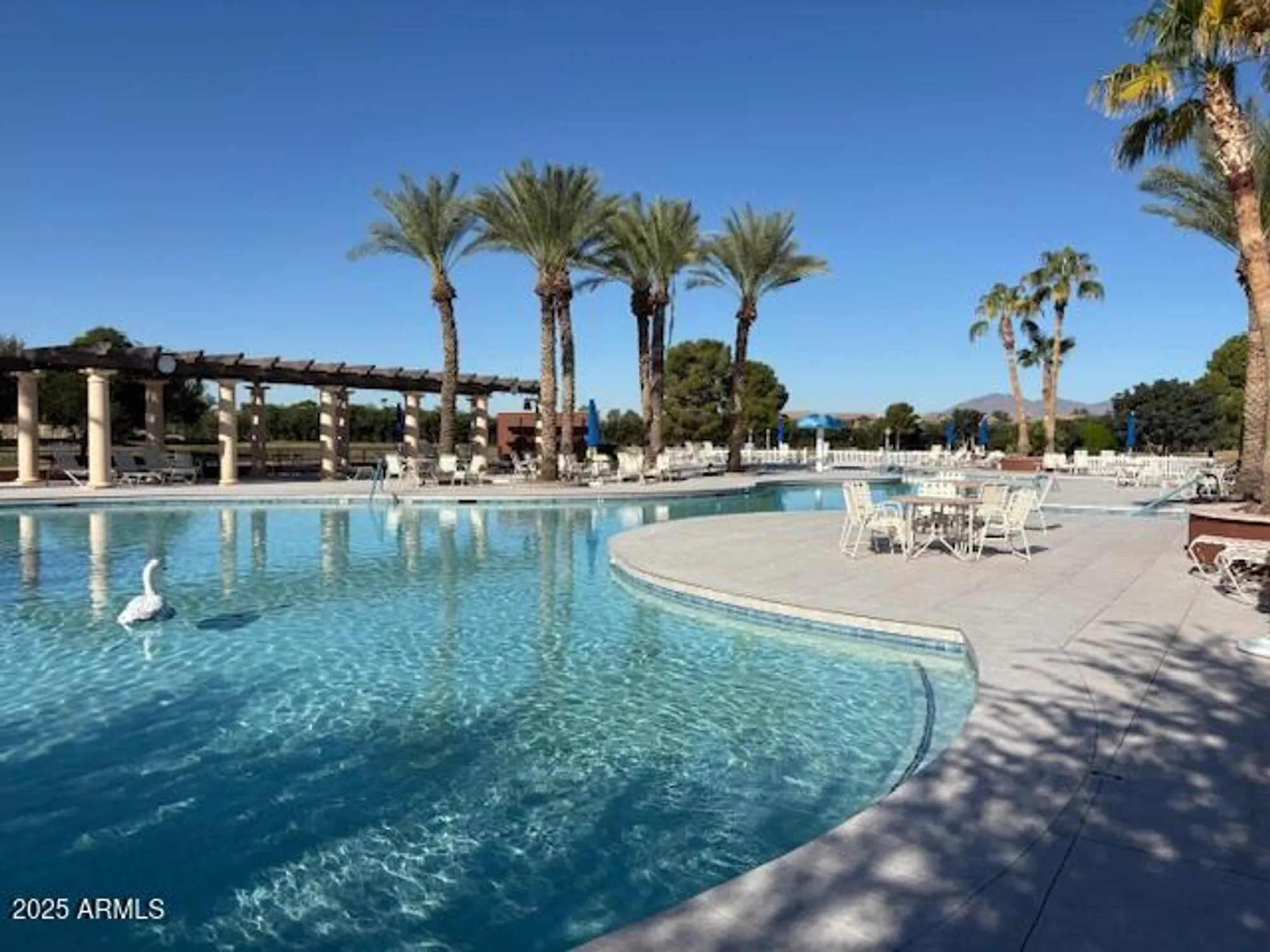Property Slideshow image 62 of 66 | 42245 w lavender dr, Maricopa, AZ, 85138