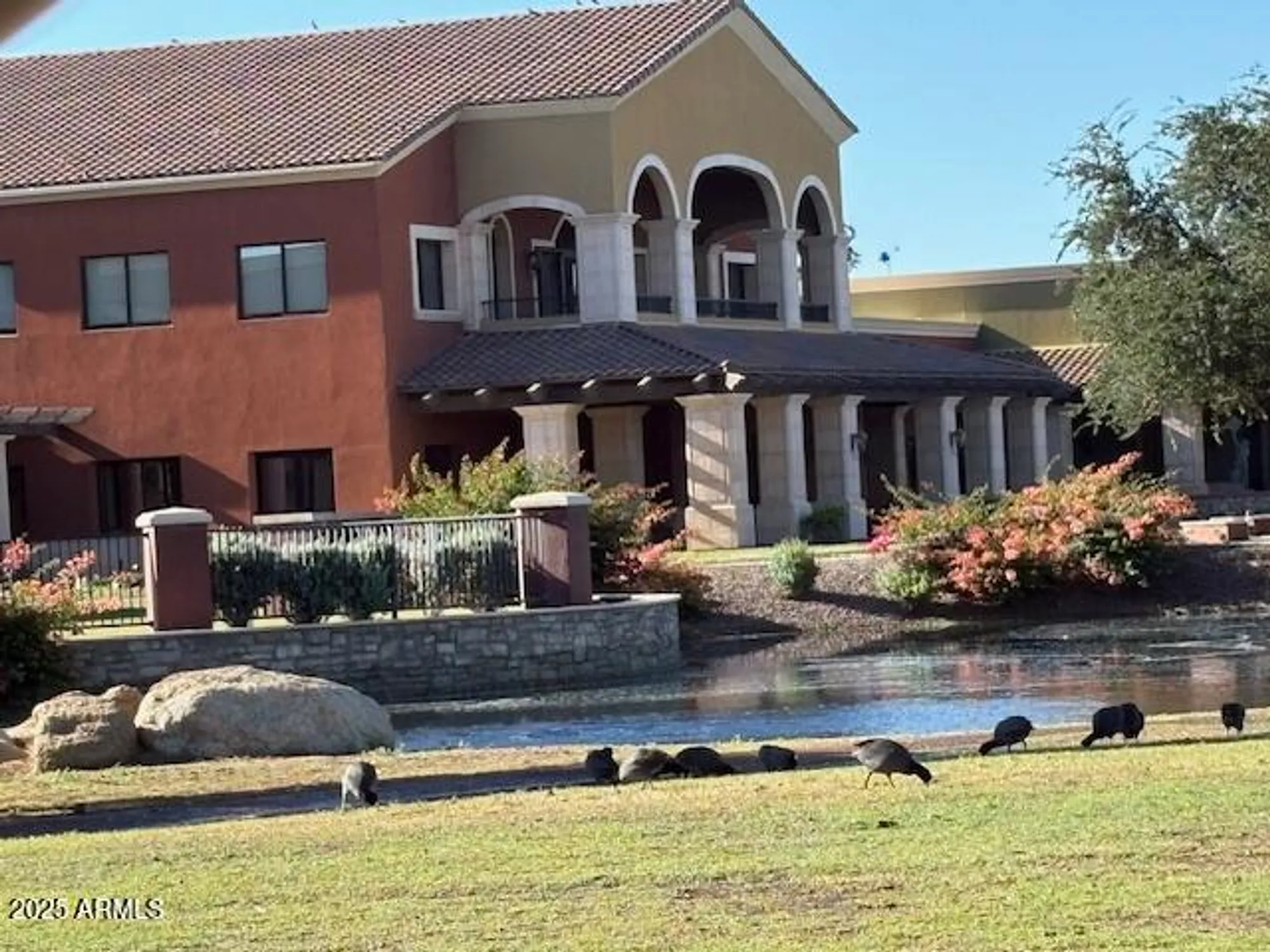 Property Slideshow image 63 of 66 | 42245 w lavender dr, Maricopa, AZ, 85138