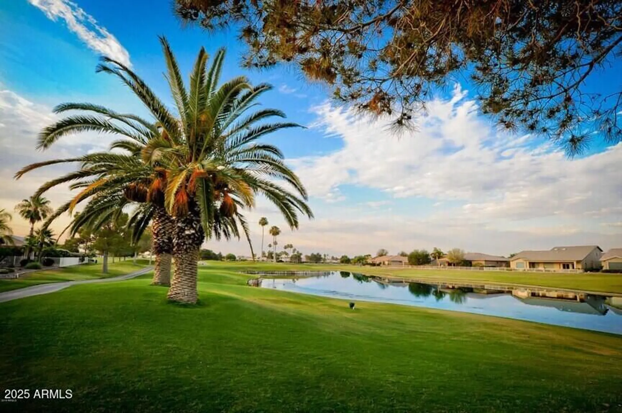 Property Slideshow image 64 of 68 | 9011 e emerald dr, Sun Lakes, AZ, 85248