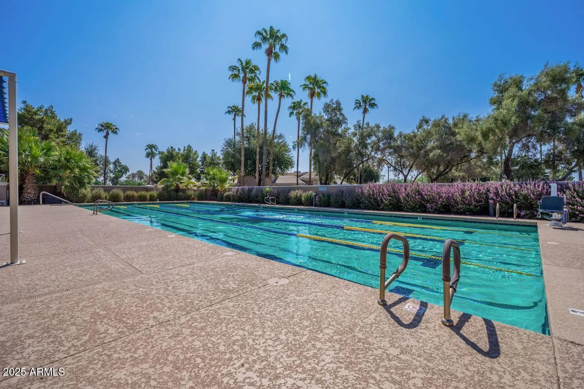 Property Slideshow image 54 of 61 | 24703 s desert dr, Sun Lakes, AZ, 85248