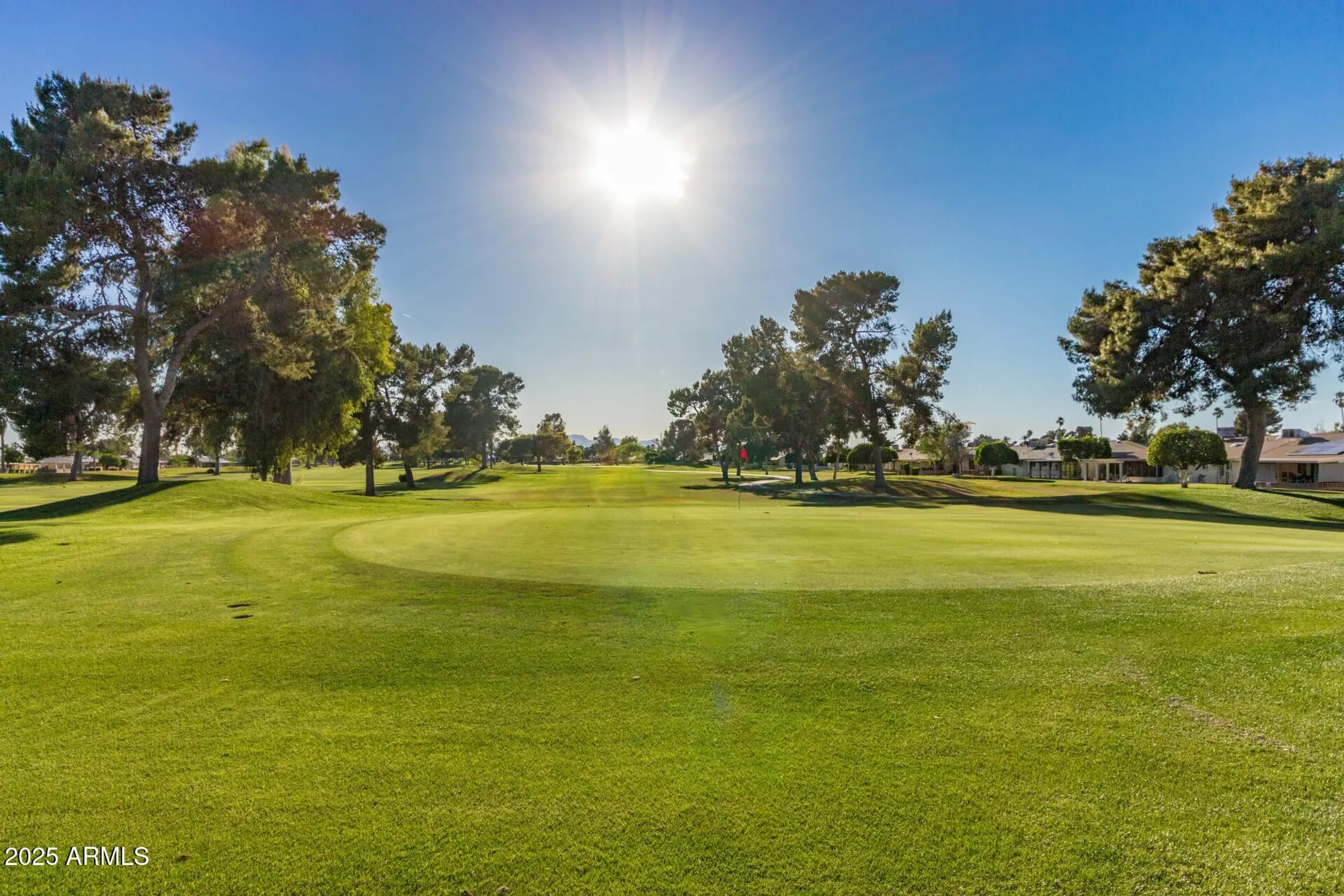 Property Slideshow image 27 of 31 | 9625 w oak ridge dr, Sun City, AZ, 85351