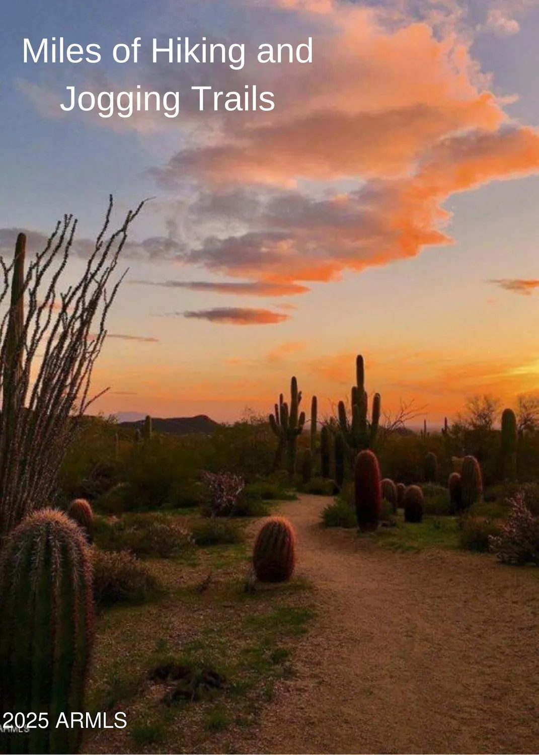 Property Slideshow image 64 of 69 | 6894 e russet sky dr, Scottsdale, AZ, 85266