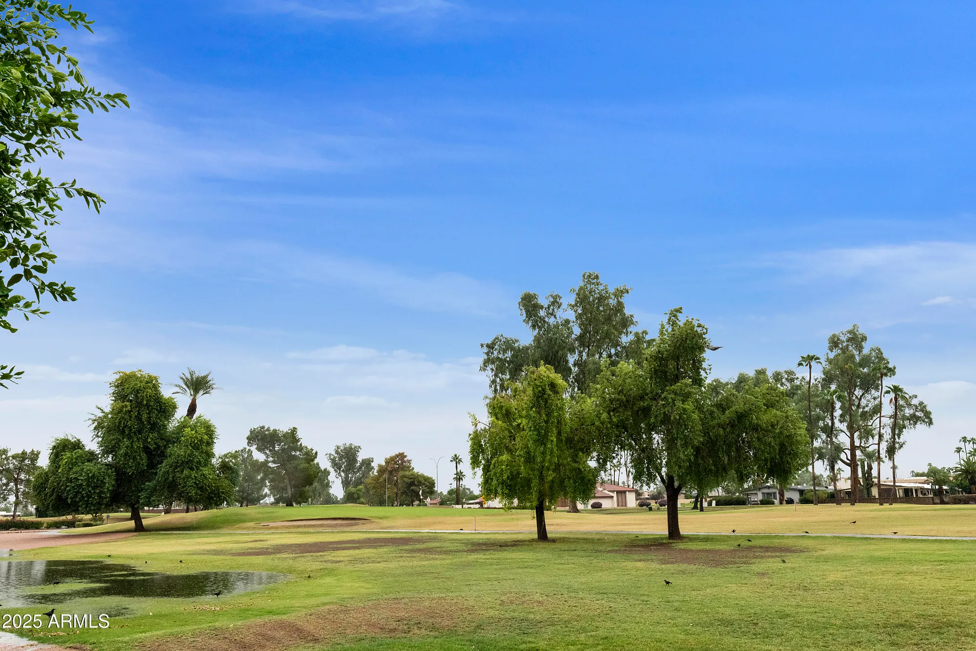 Property Slideshow image 5 of 44 | 9119 e fairway blvd, Sun Lakes, AZ, 85248