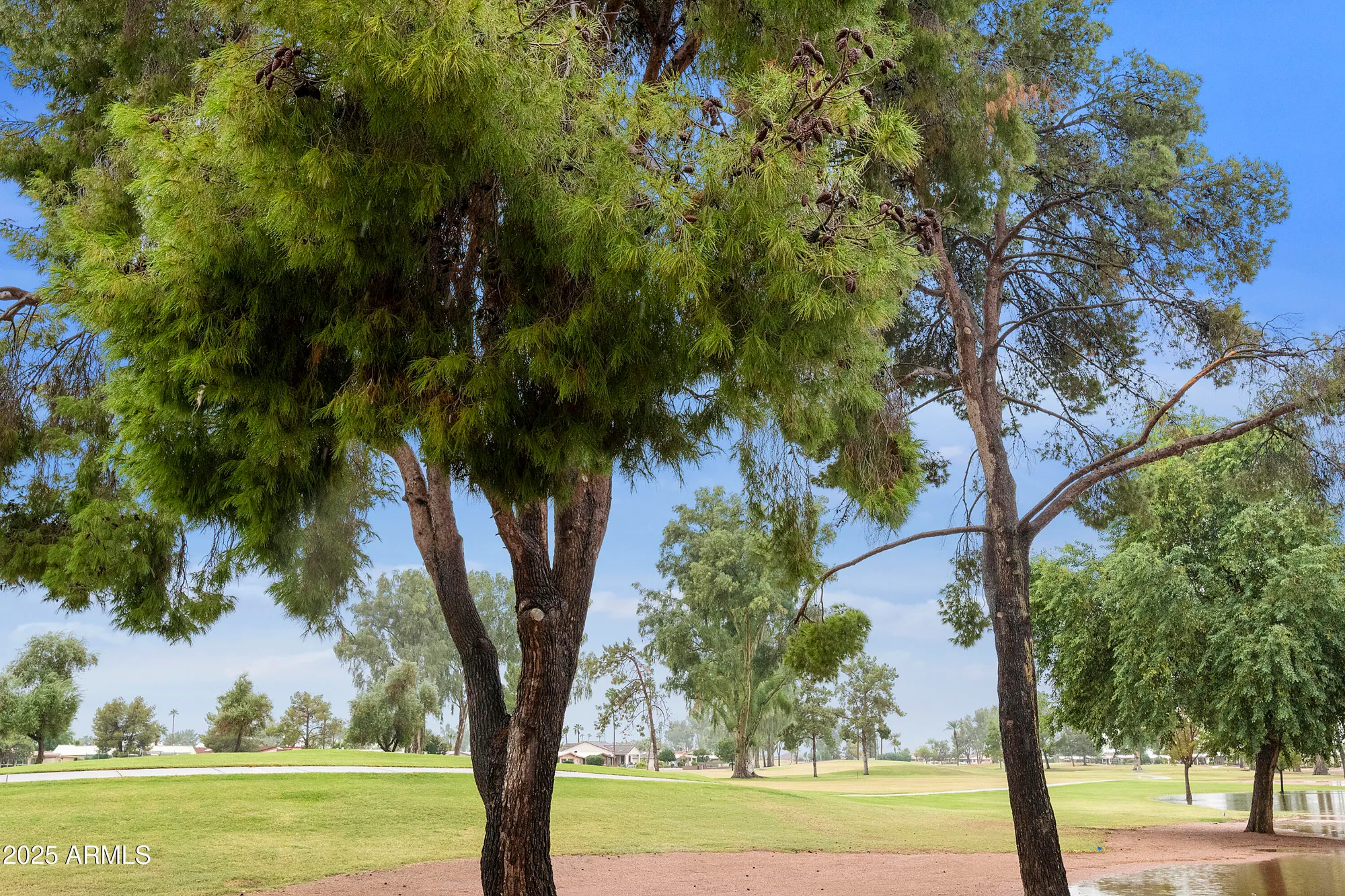 Property Slideshow image 31 of 44 | 9119 e fairway blvd, Sun Lakes, AZ, 85248