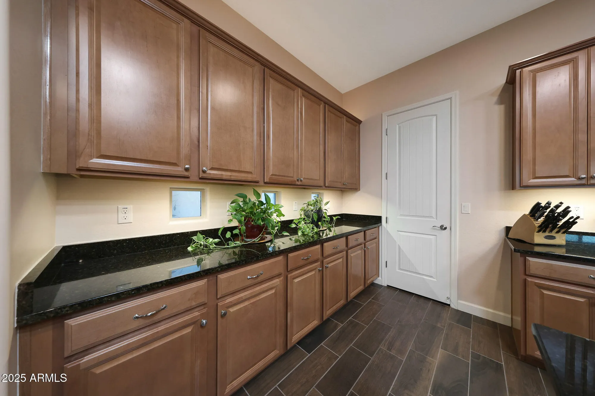 Property Slideshow image 22 of 76 | 4897 n 207th ln, Buckeye, AZ, 85396