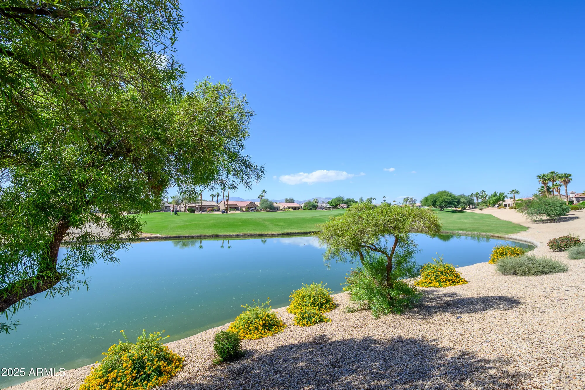 Property Slideshow image 41 of 79 | 16259 w spring canyon way, Surprise, AZ, 85374