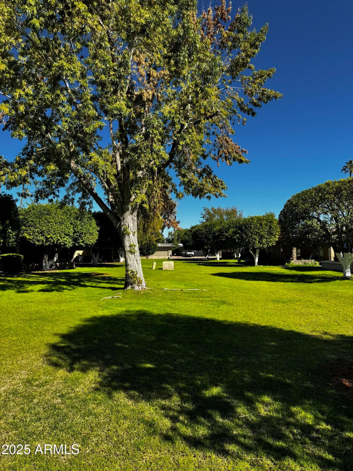 Property Slideshow image 9 of 45 | 10318 w manzanita dr, Sun City, AZ, 85373