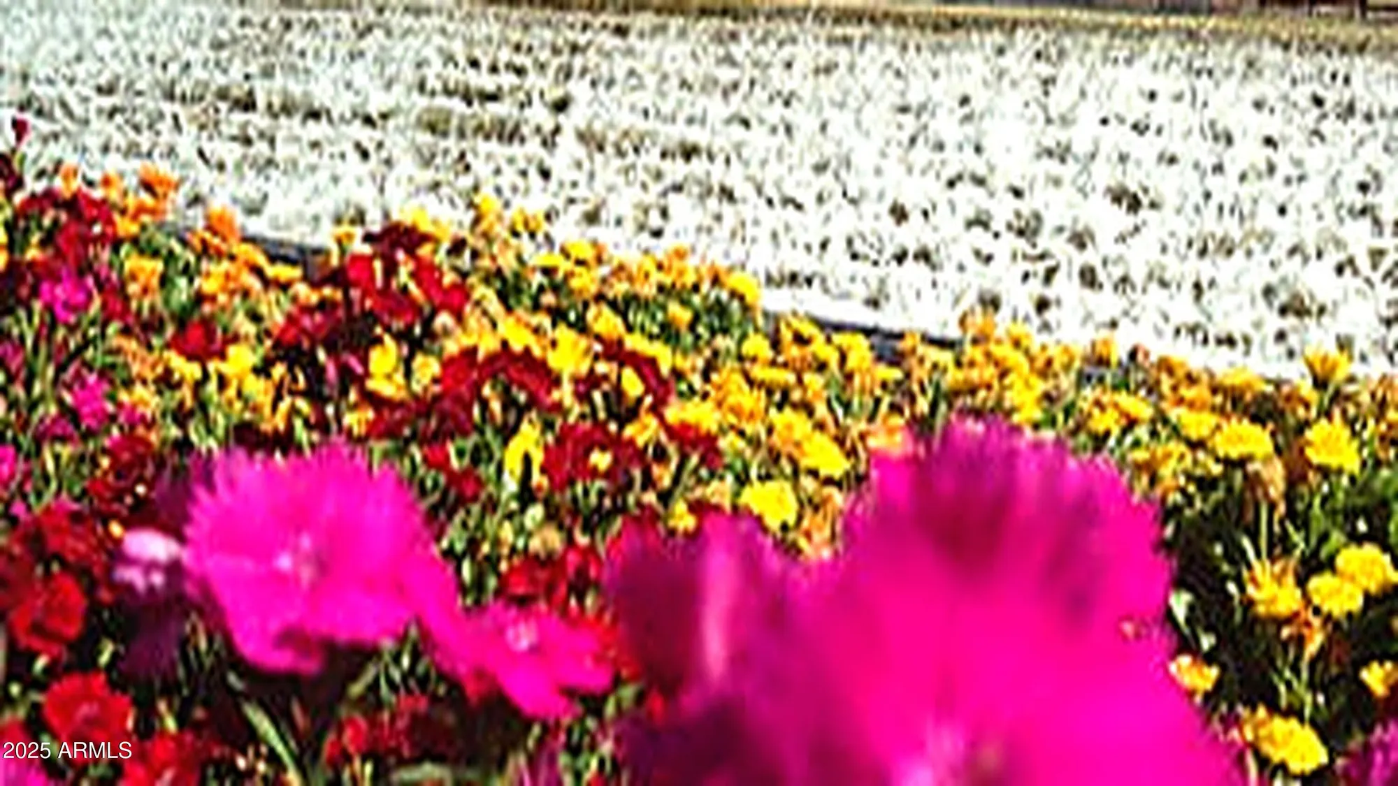 Property Slideshow image 42 of 42 | 8180 w silver spring way, Florence, AZ, 85132