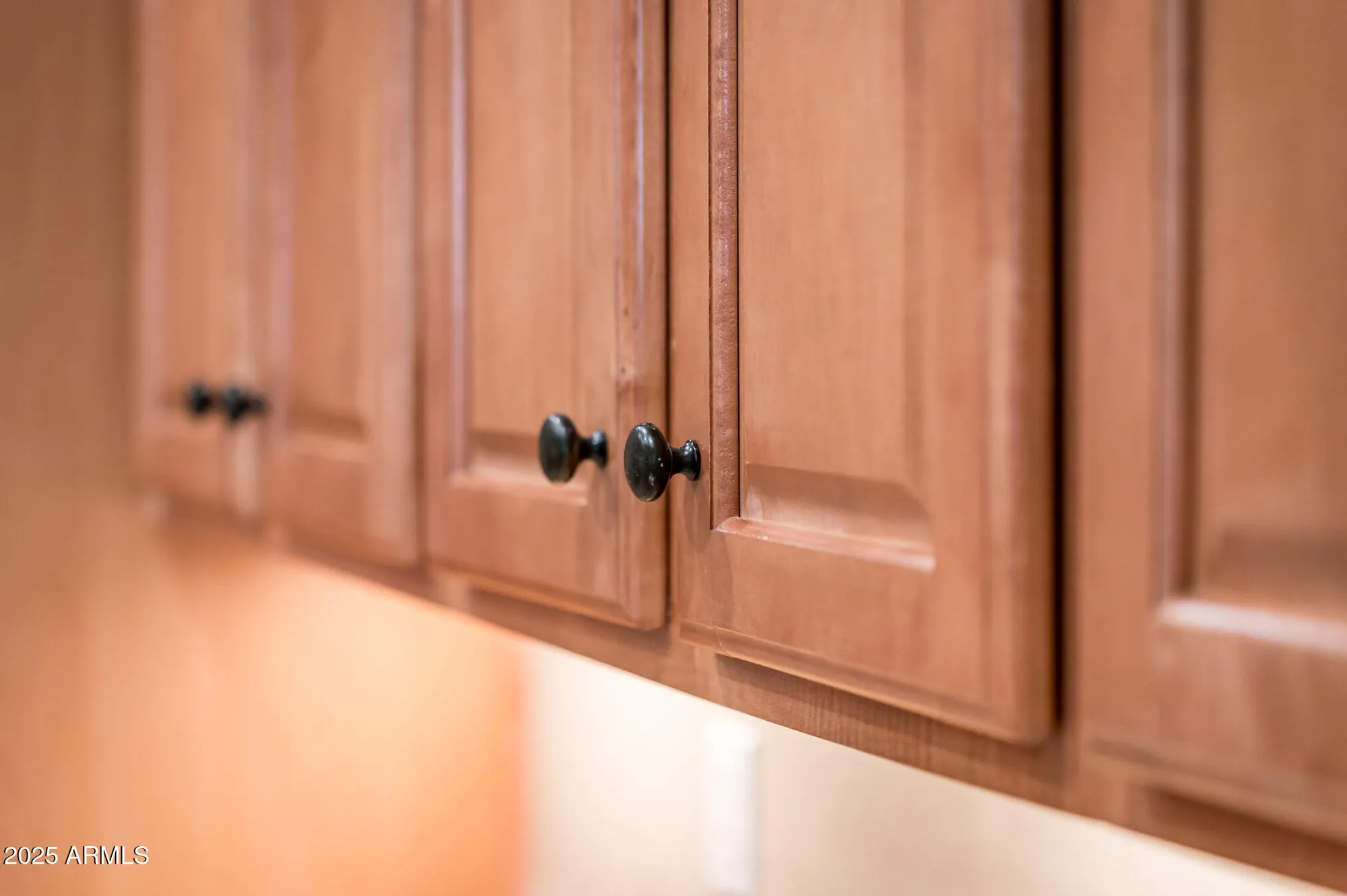 Property Slideshow image 65 of 76 | 22813 n del monte dr, Sun City West, AZ, 85375