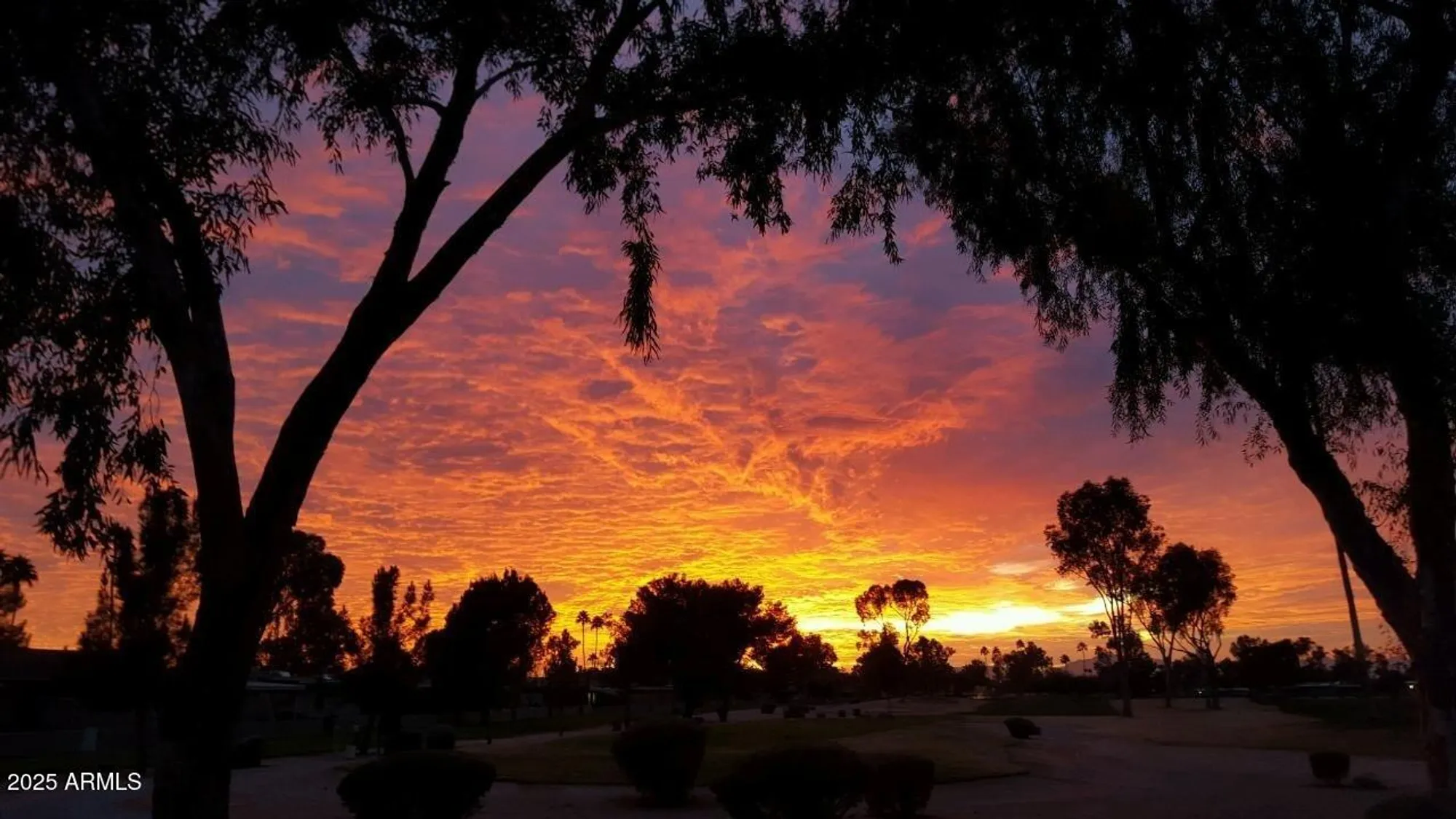 Property Slideshow image 39 of 40 | 25244 s saddletree dr, Sun Lakes, AZ, 85248