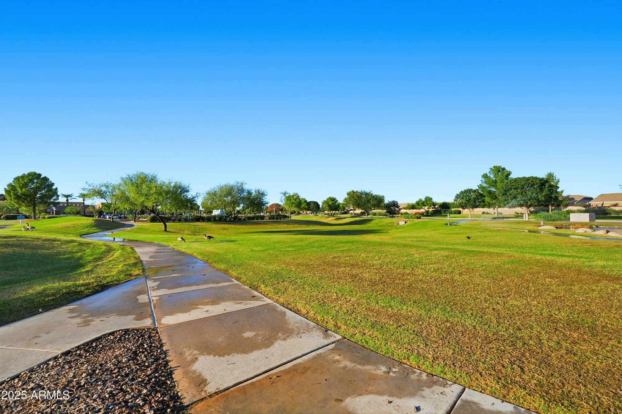 Property Slideshow image 58 of 61 | 42938 w kingfisher dr, Maricopa, AZ, 85138