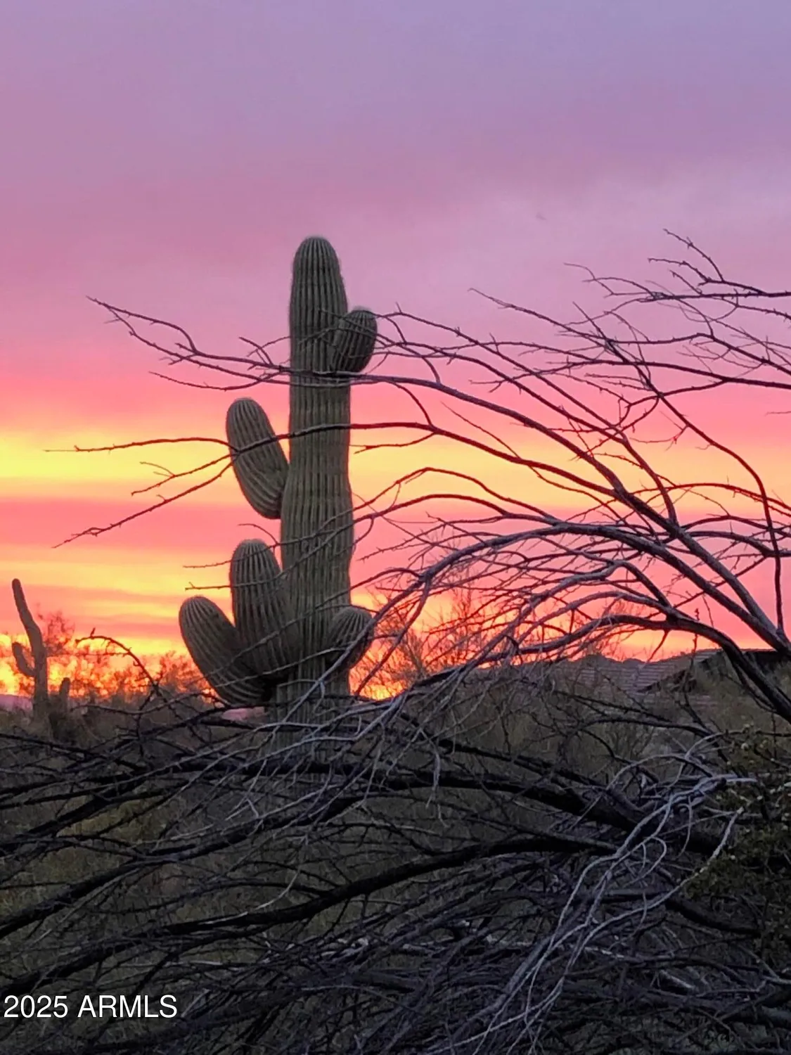 Property Slideshow image 49 of 87 | 33440 n 64th st, Scottsdale, AZ, 85266
