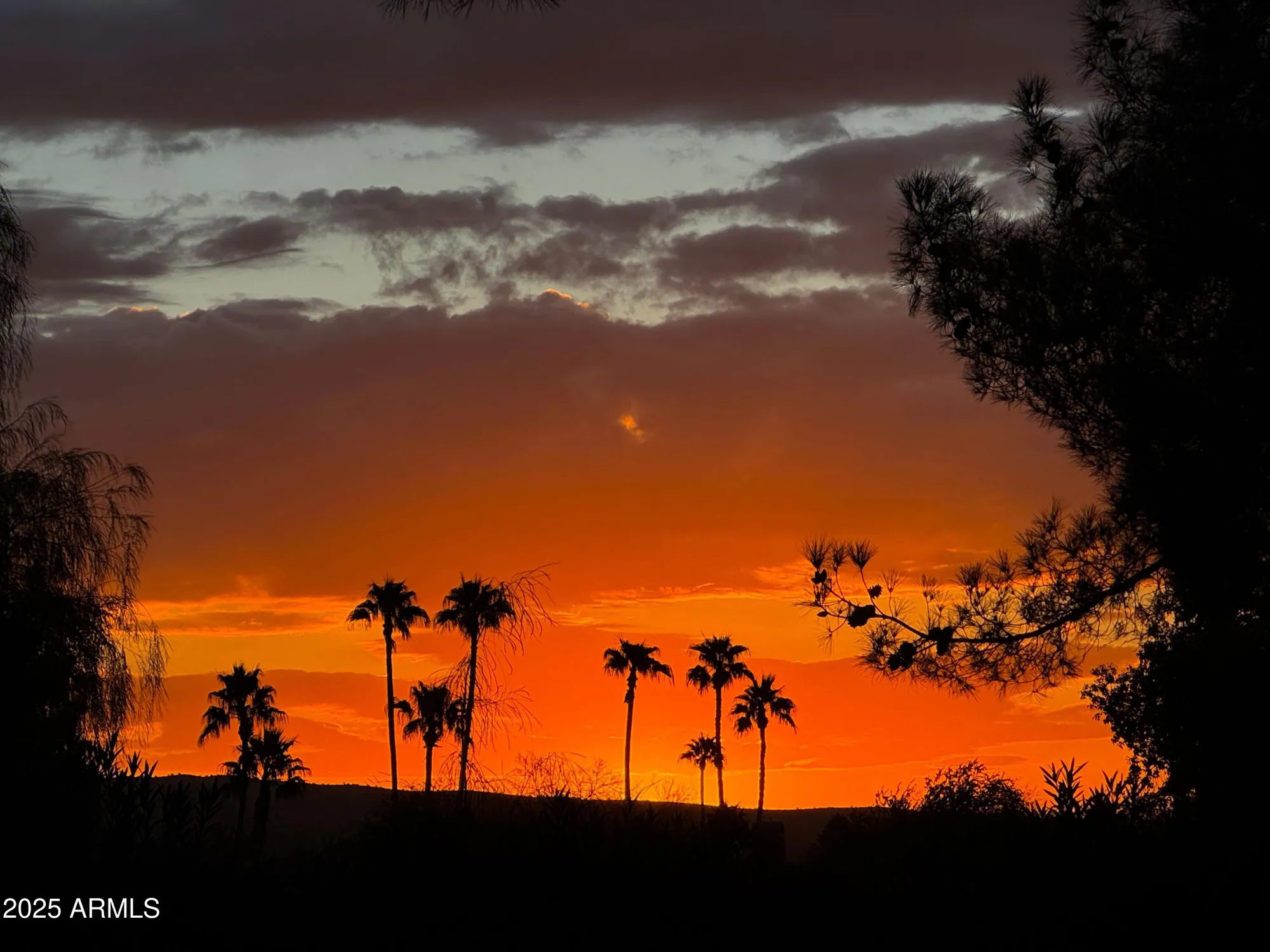 Property Slideshow image 22 of 35 | 18753 e chinle dr, Rio Verde, AZ, 85263